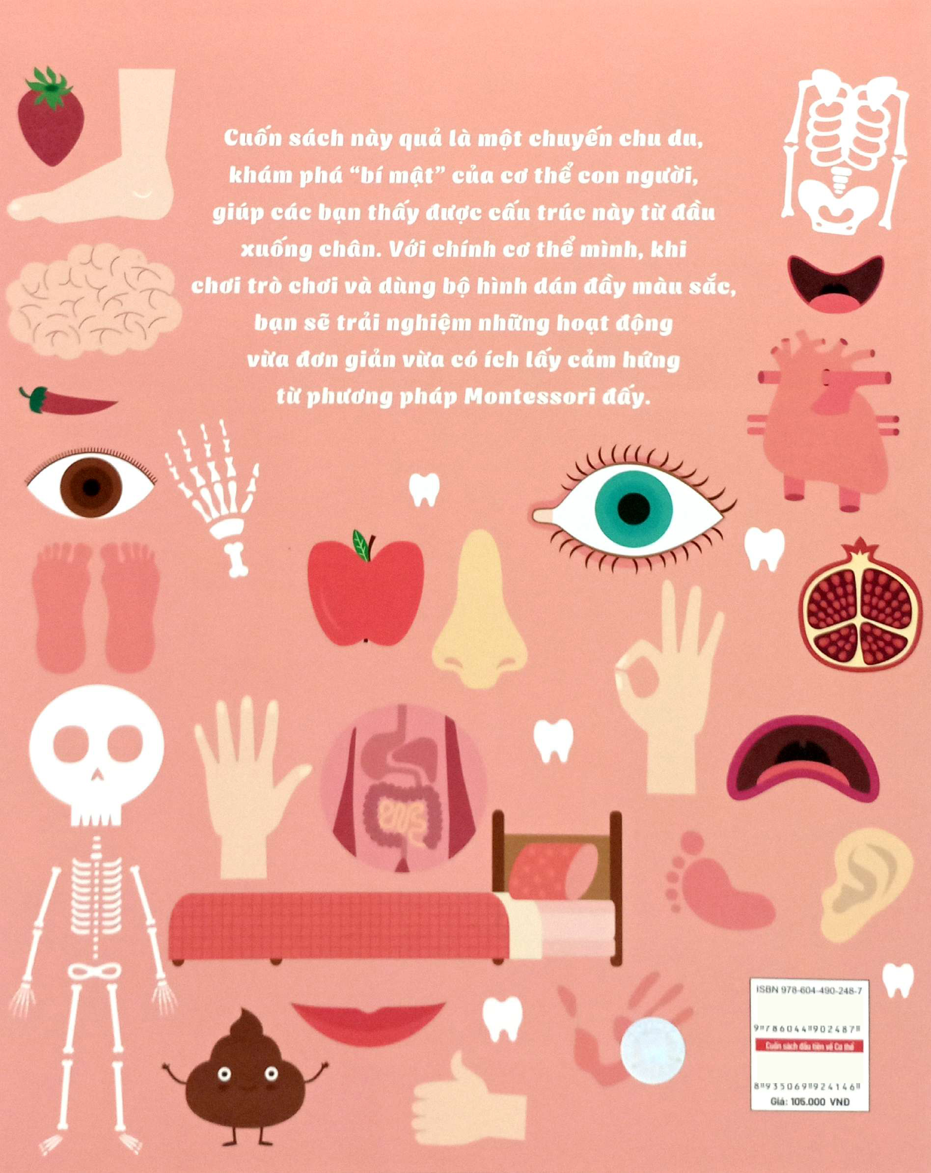 montessori - cuốn sách đầu tiên về cơ thể dành cho trẻ - Ảnh 6