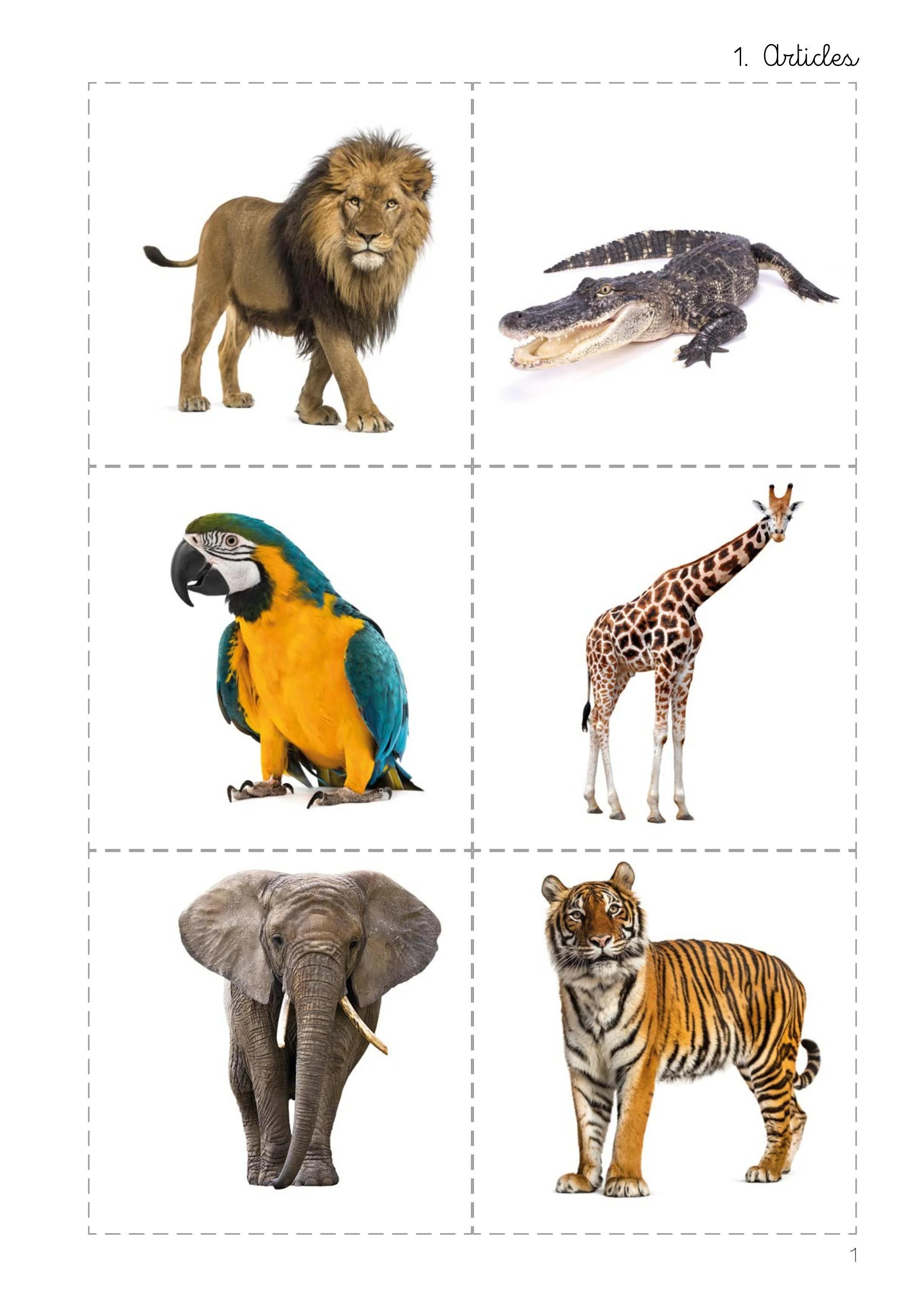 montessori english grammar - Ảnh 10