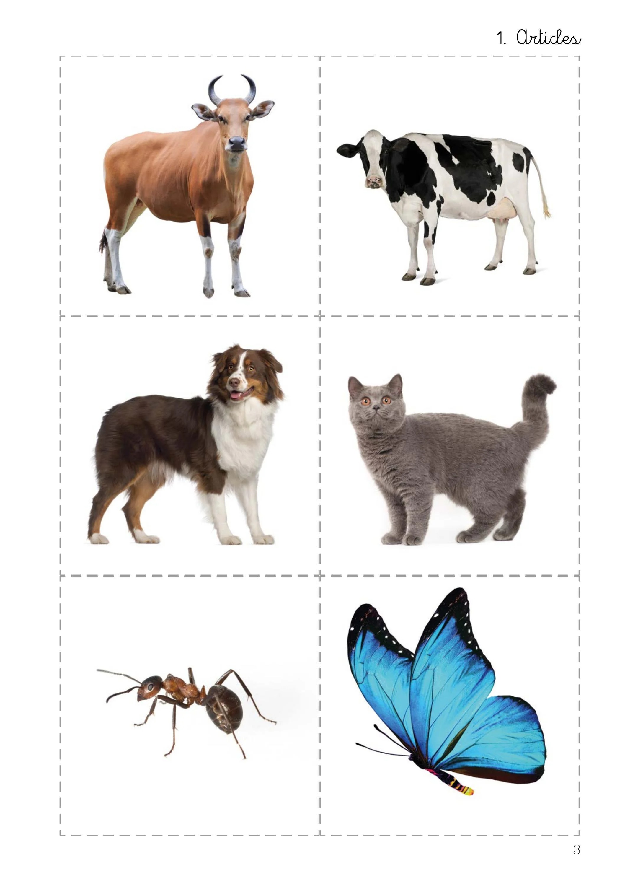 montessori english grammar - Ảnh 12