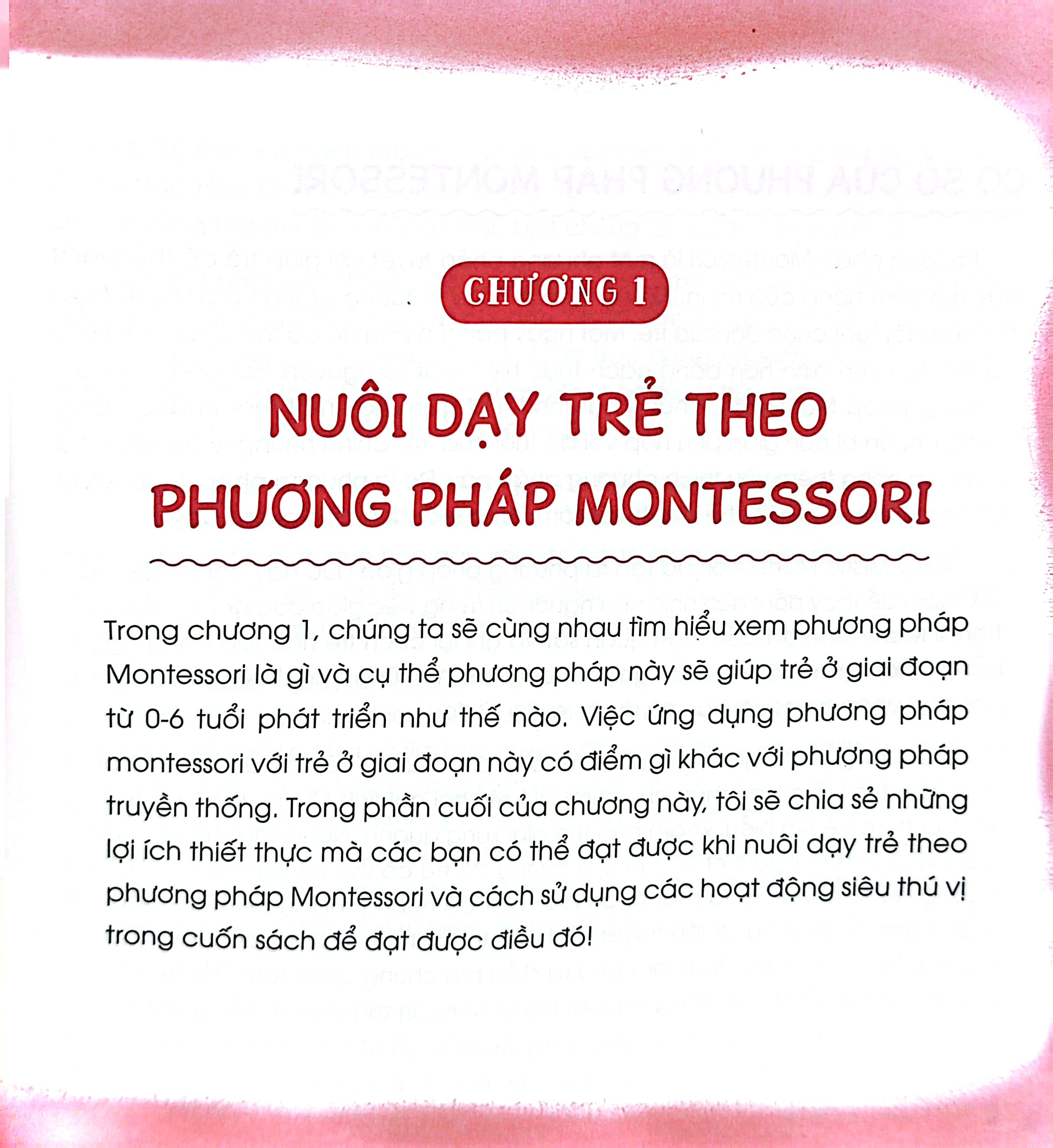 montessori - phương pháp giáo dục sớm giúp trẻ phát triển tiềm năng trí tuệ - Ảnh 5