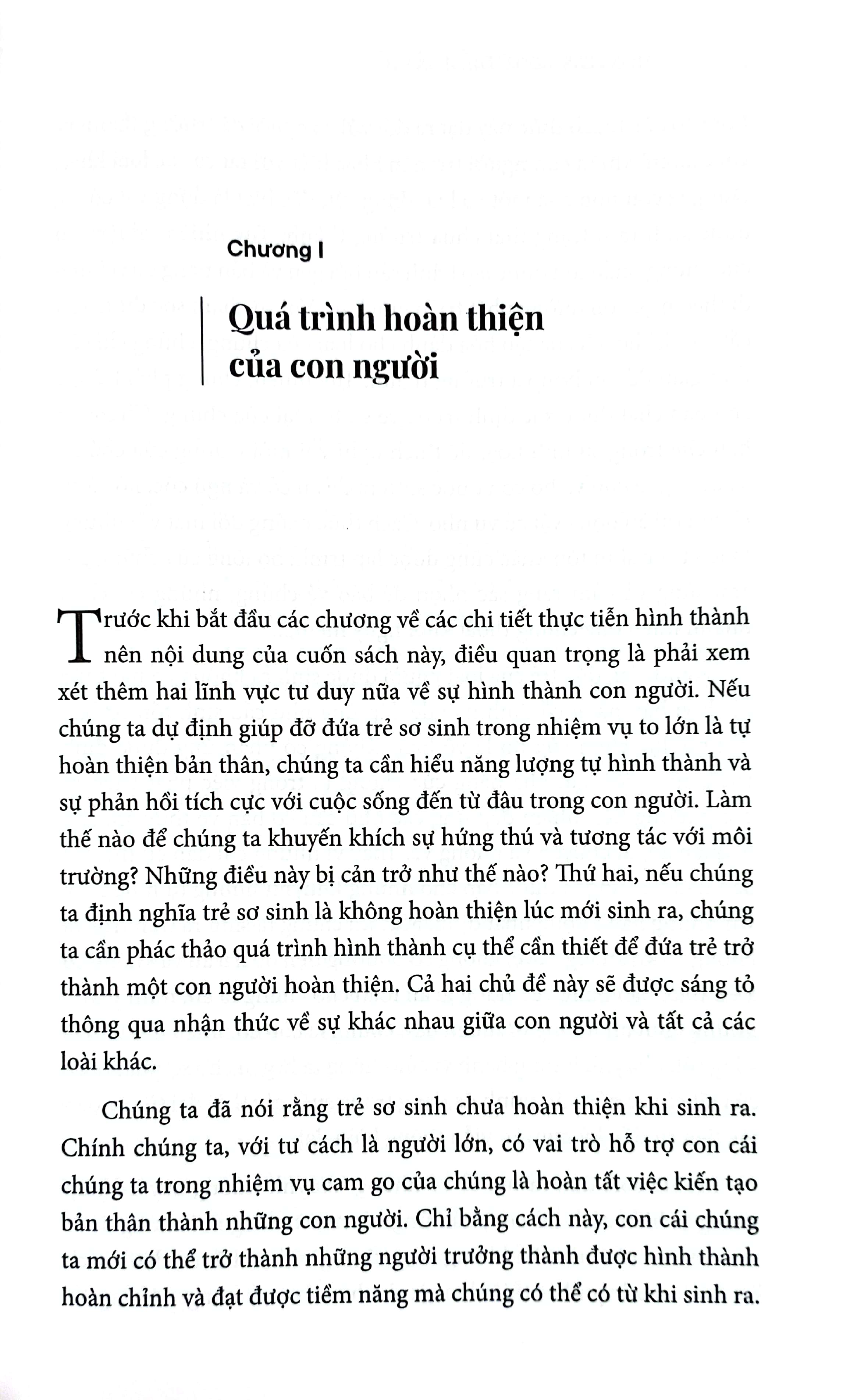 montessori từ điểm bắt đầu - giáo dục đứa trẻ trong gia đình, từ khi sinh ra đến 3 tuổi - Ảnh 5