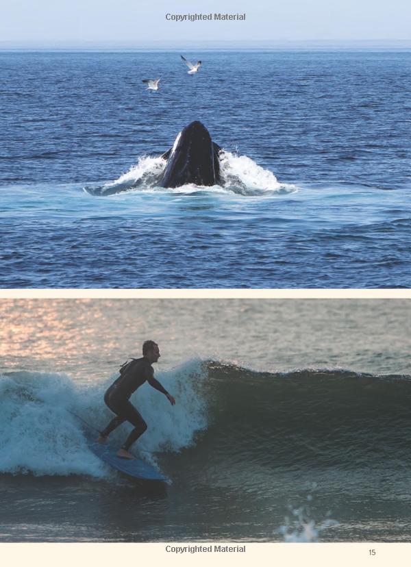 moon cape cod, martha's vineyard & nantucket (fifth edition) (travel guide) - Ảnh 11