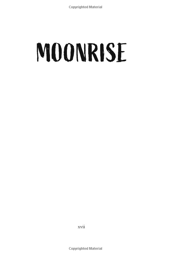 moonrise - Ảnh 7