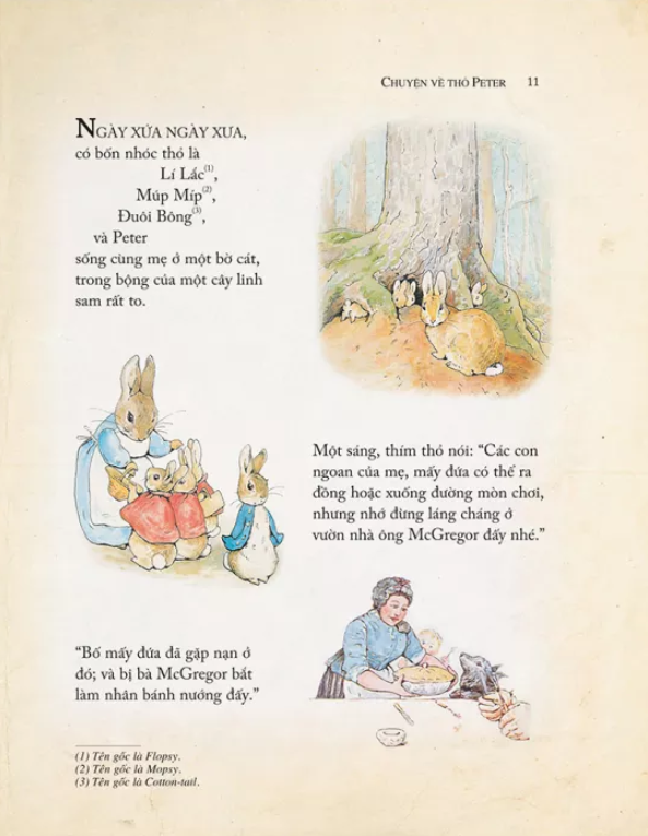 một cậu thỏ nghịch ngợm kinh khủng - tuyển tập những truyện hay nhất của beatrix potter (tái bản 2021) - Ảnh 4