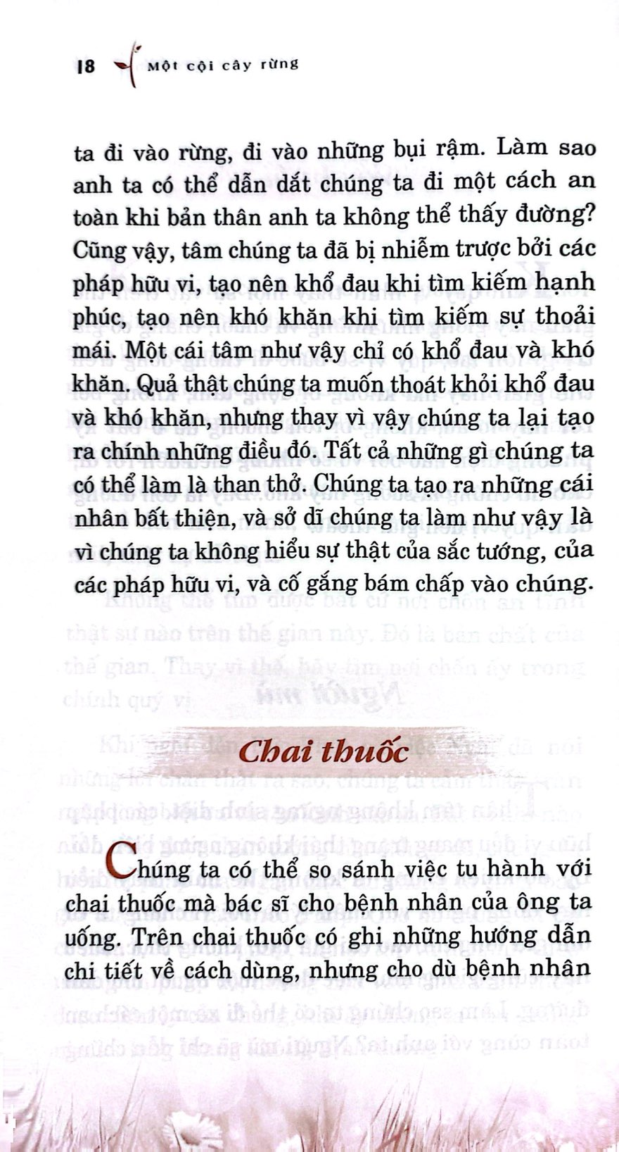 một cội cây rừng - những dụ ngôn của ngài ajahn chah (tái bản 2025) - Ảnh 6