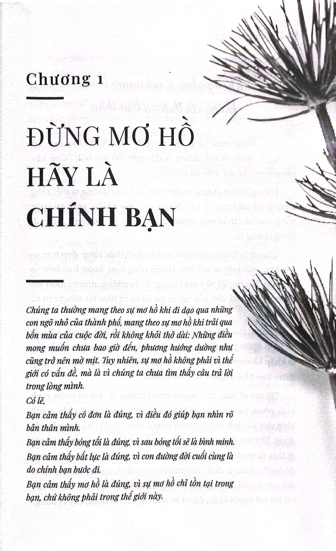 một đời an lạc - nhân sinh được mất - Ảnh 4