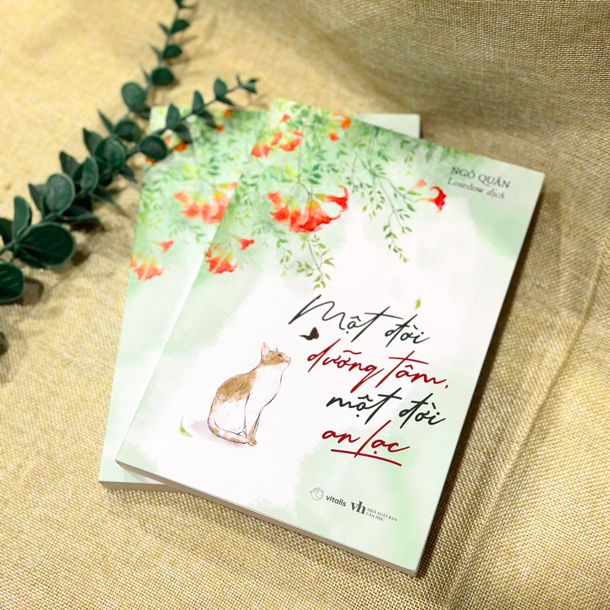 một đời dưỡng tâm, một đời an lạc - Ảnh 3