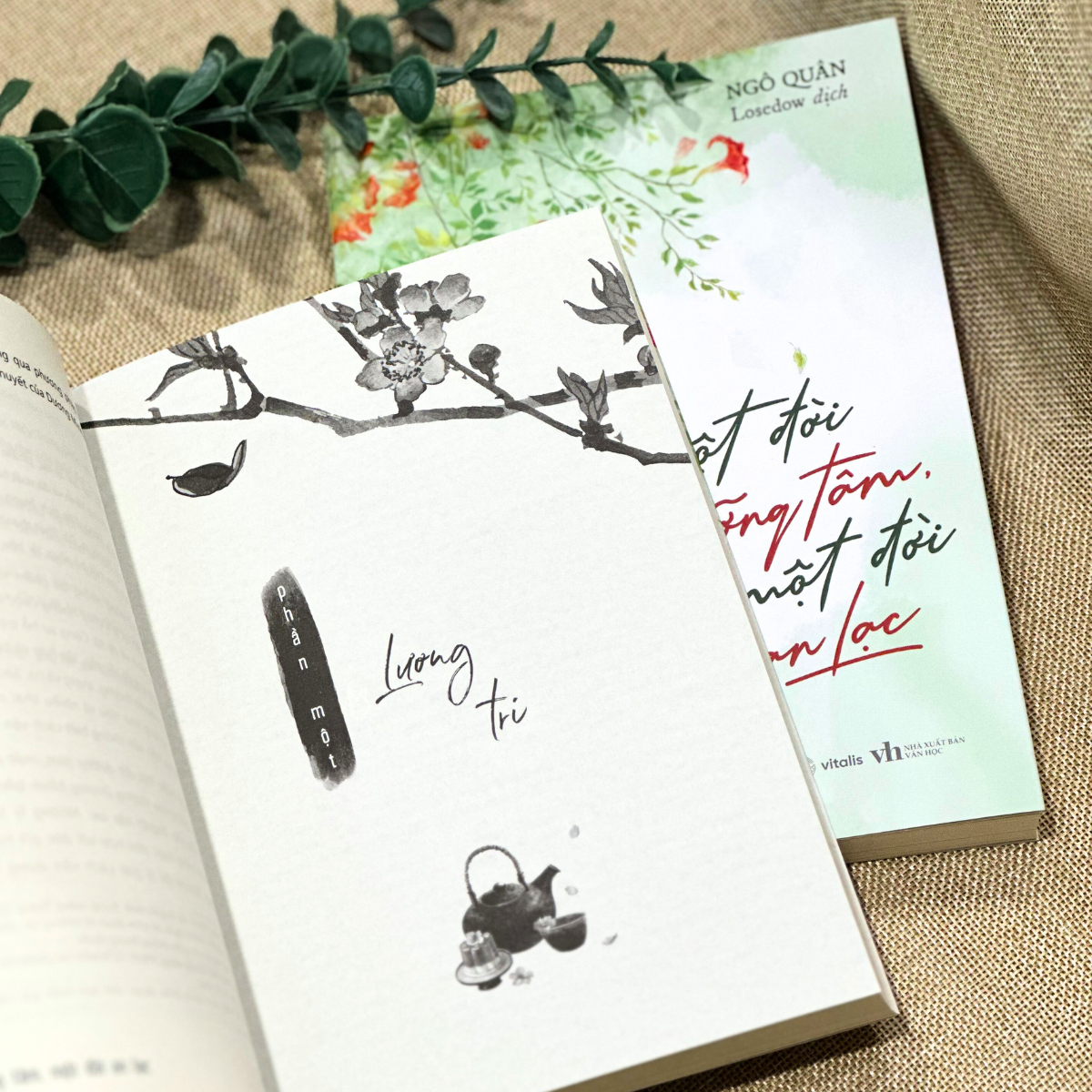 một đời dưỡng tâm, một đời an lạc - Ảnh 5