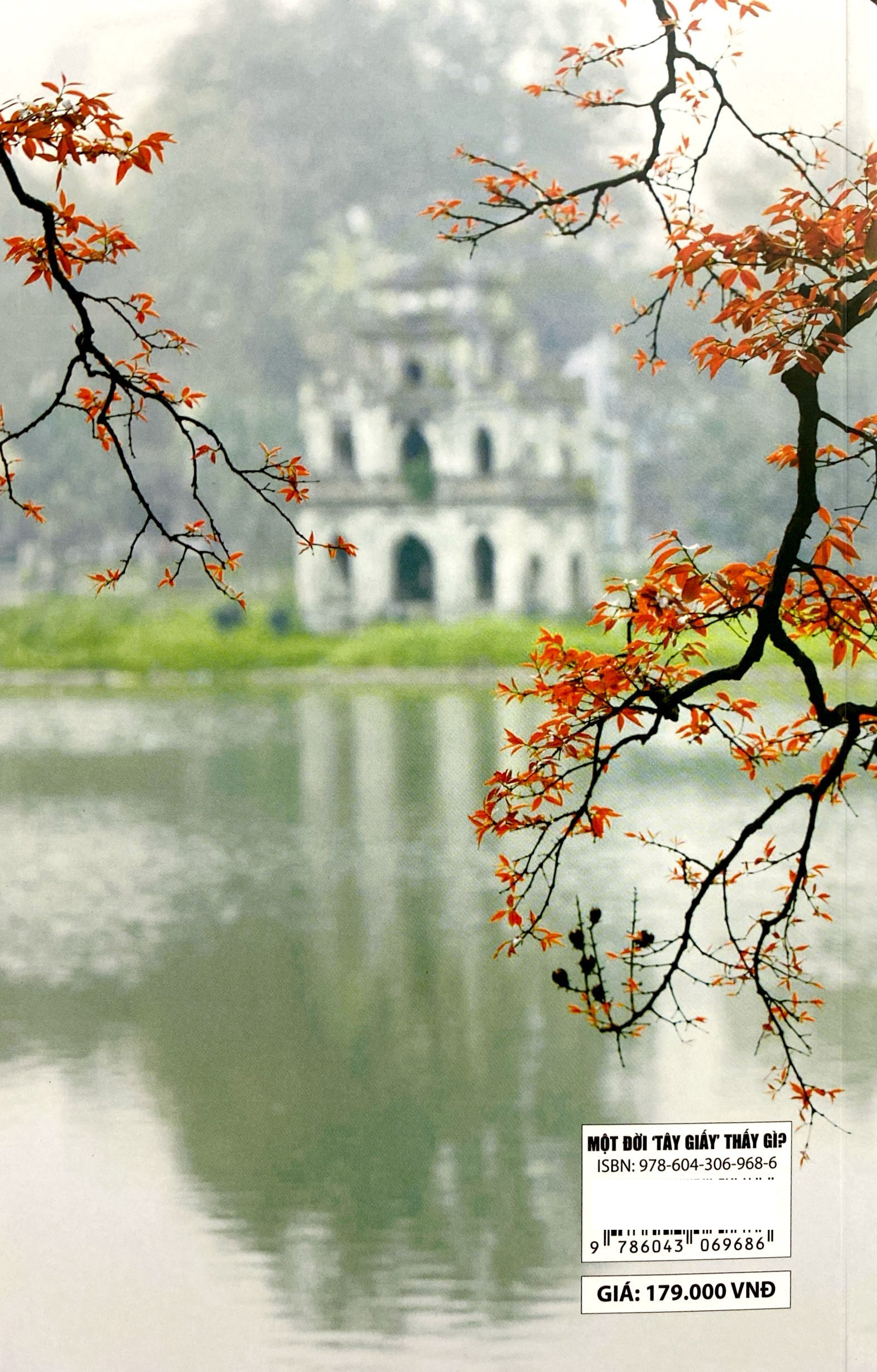 một đời tây giấy thấy gì - Ảnh 7