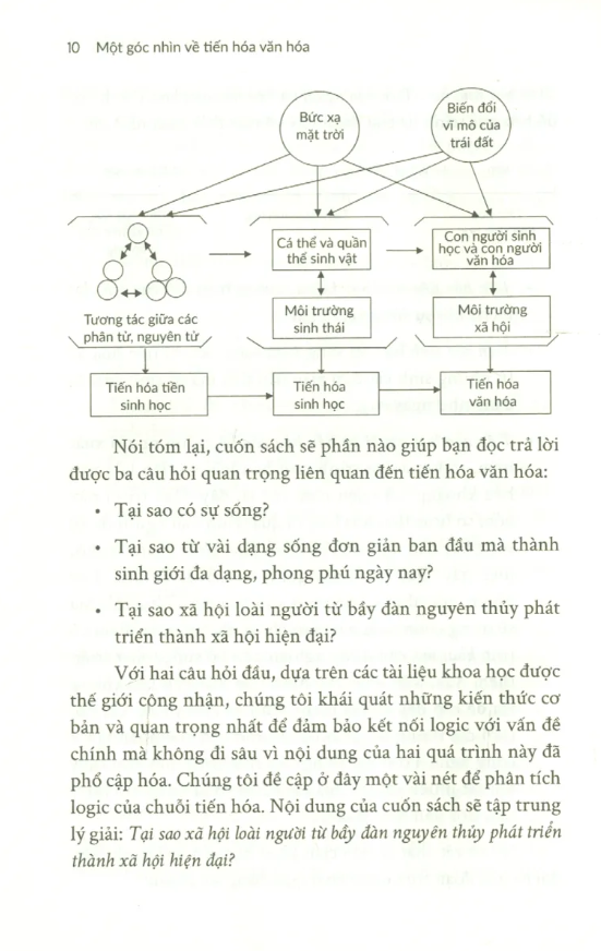 một góc nhìn về tiến hóa văn hóa - Ảnh 7