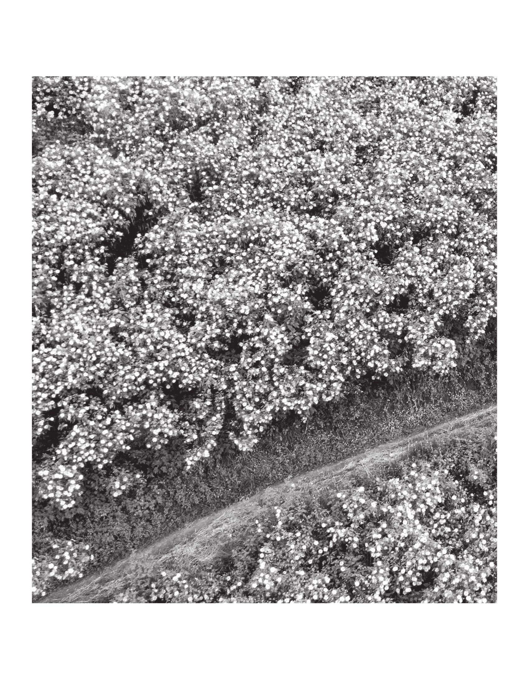 Một Hôm Tôi Bỗng Nhớ Ra - Ảnh 7