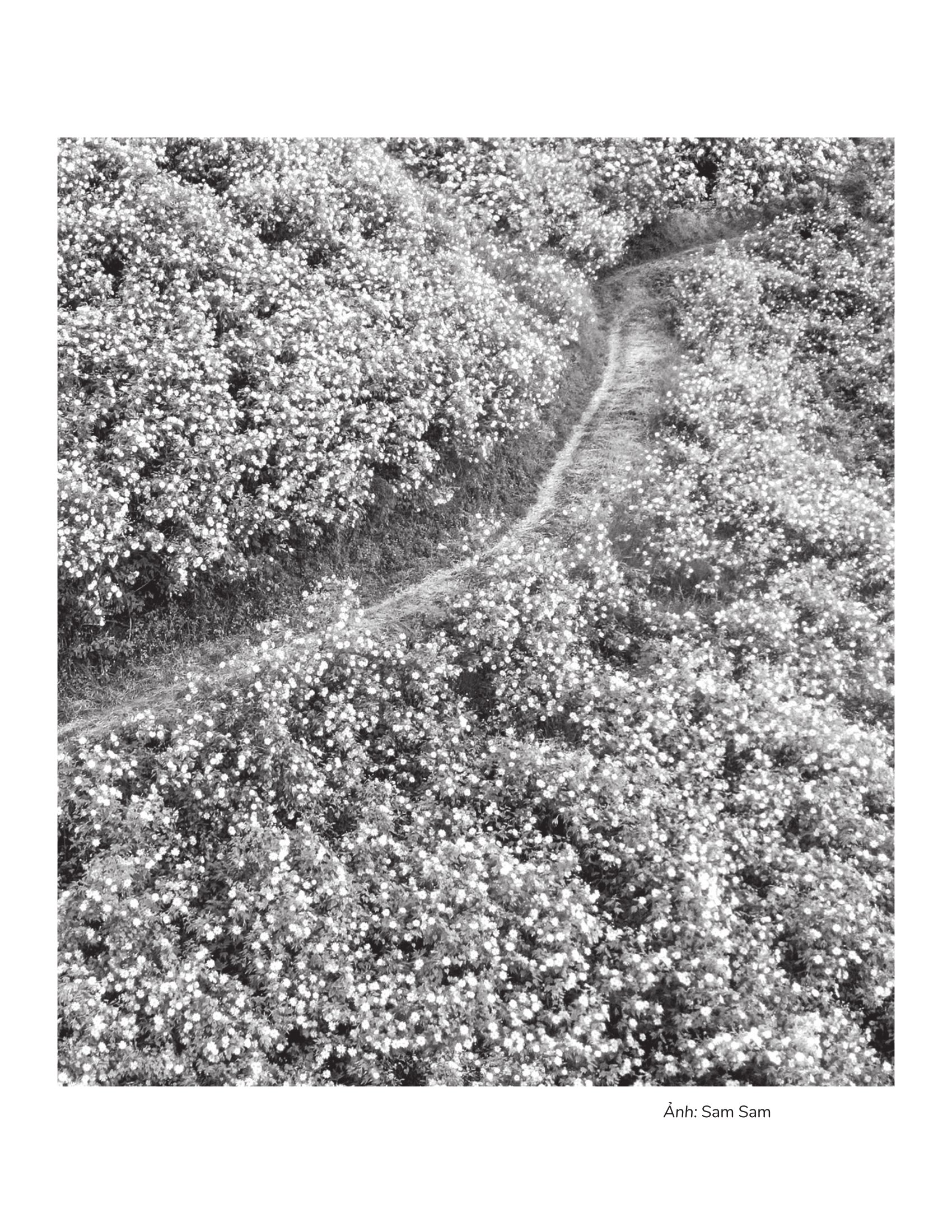 Một Hôm Tôi Bỗng Nhớ Ra - Ảnh 8