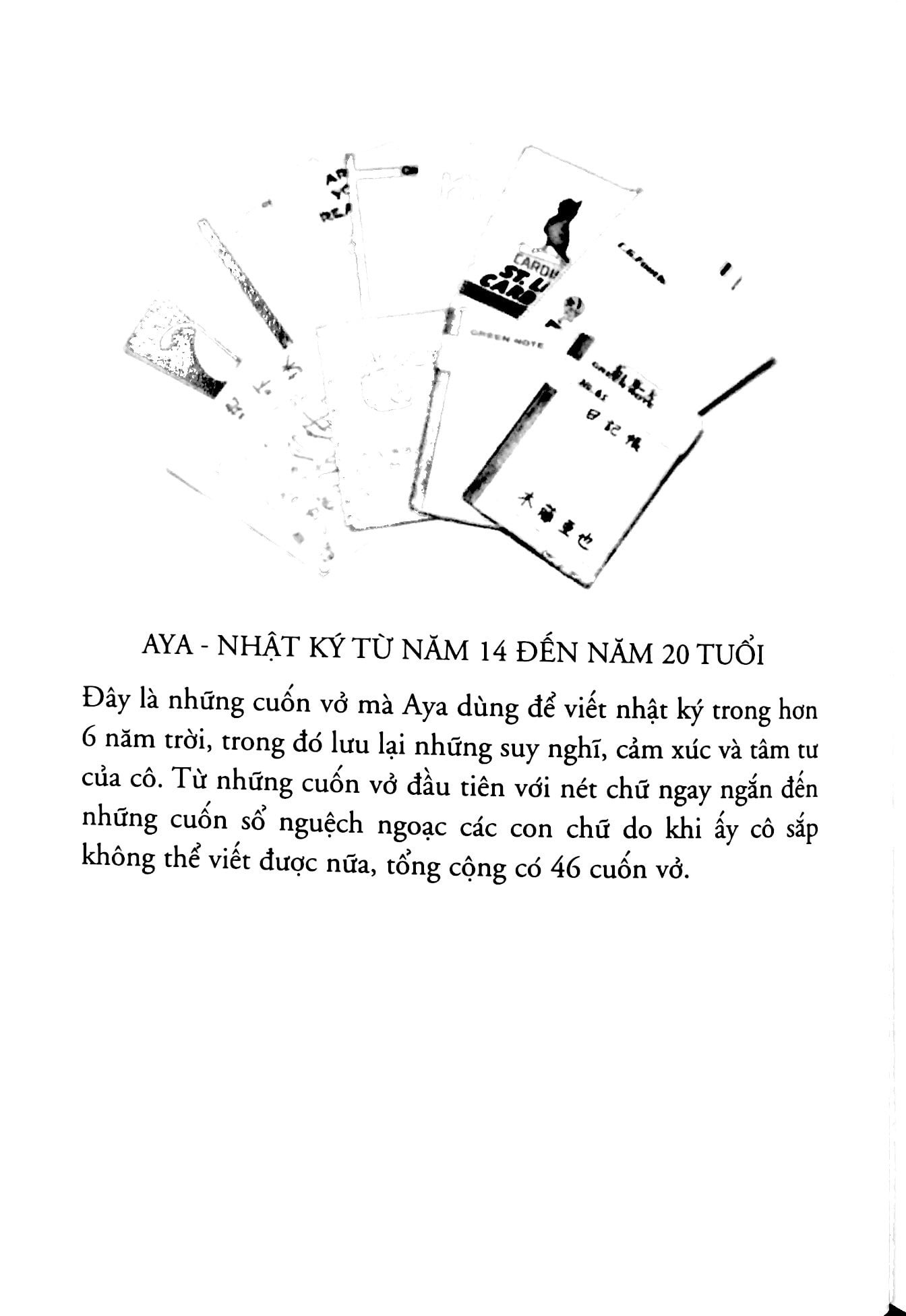 một lít nước mắt - Ảnh 4