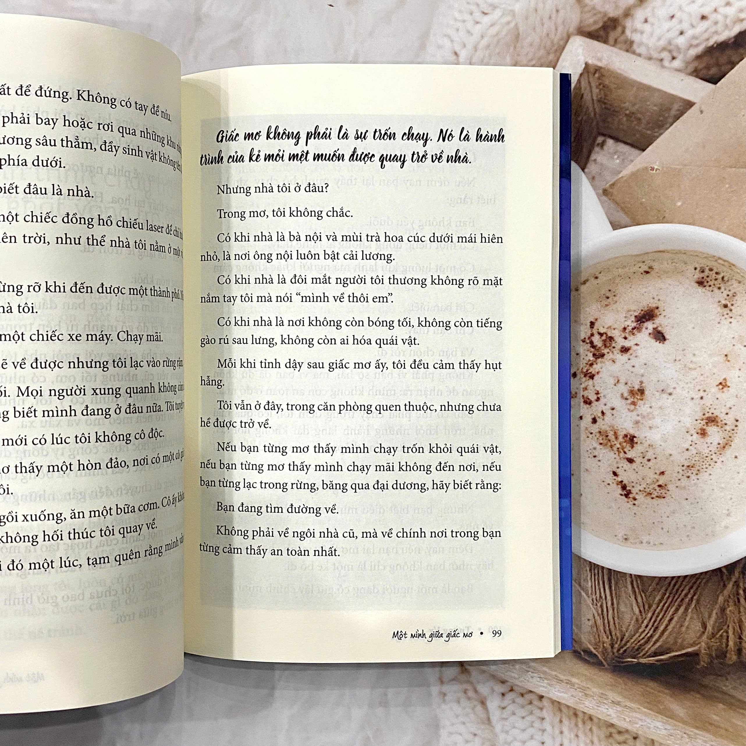 Một Mình Giữa Giấc Mơ - Ảnh 4