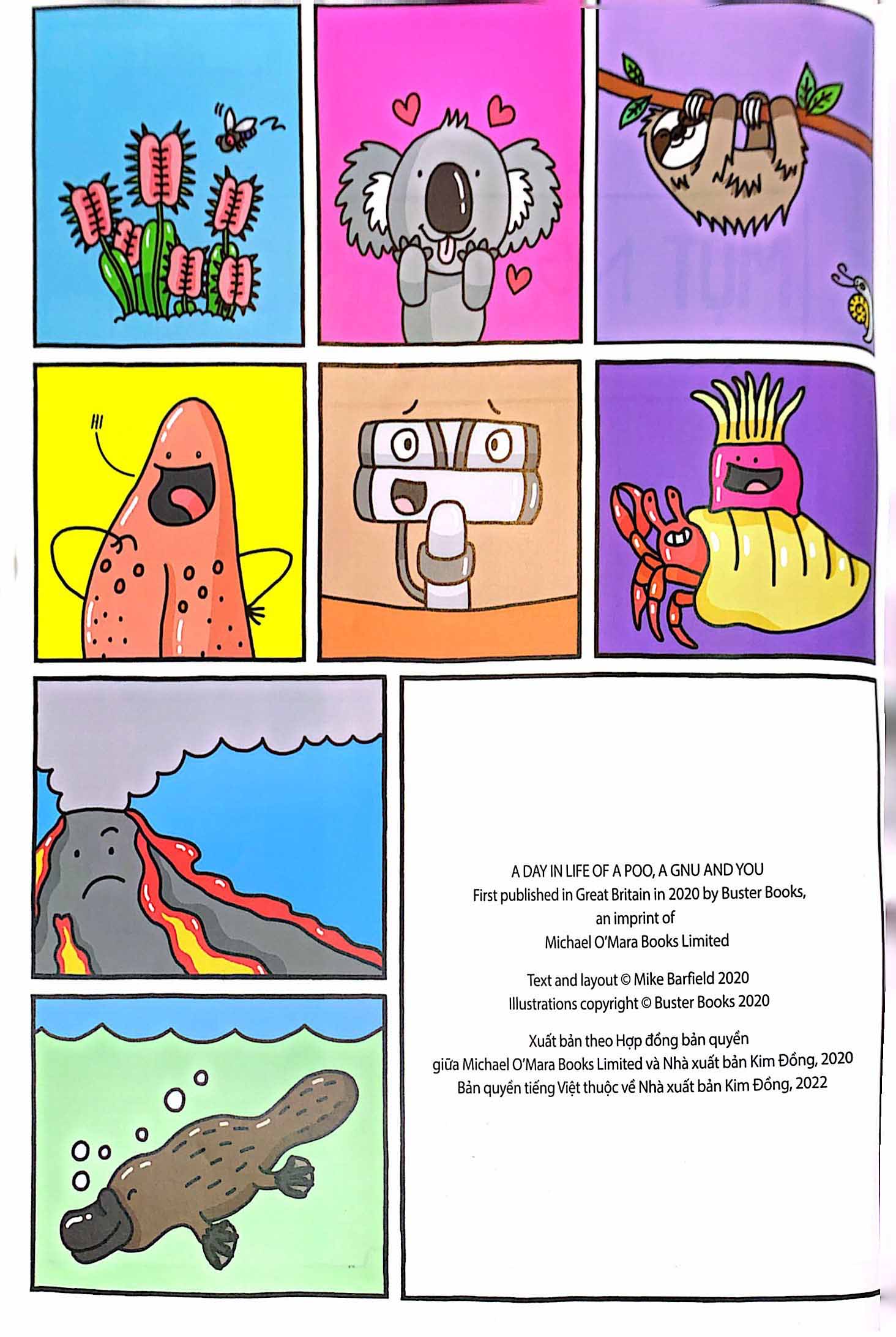 một ngày trong đời của con lười, con ngươi và con người - Ảnh 4