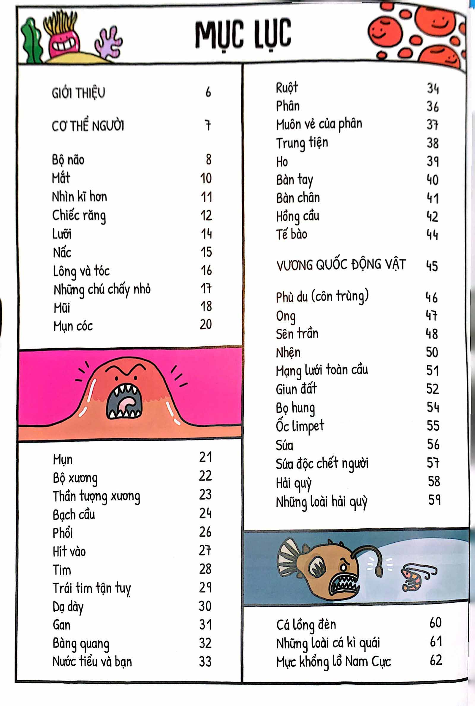 một ngày trong đời của con lười, con ngươi và con người - Ảnh 6