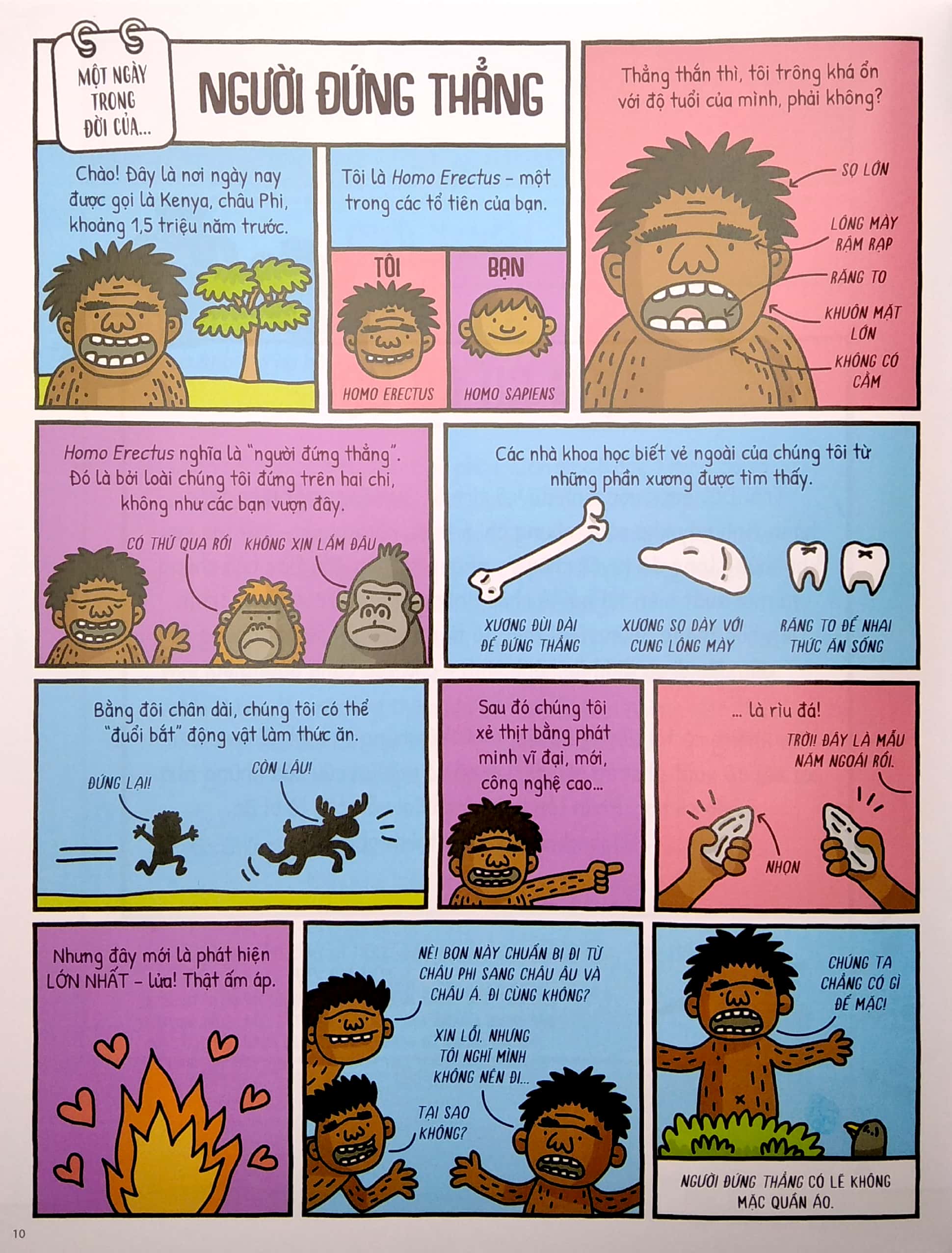 một ngày trong đời của người hang, nữ hoàng và anh em họ hàng - Ảnh 7