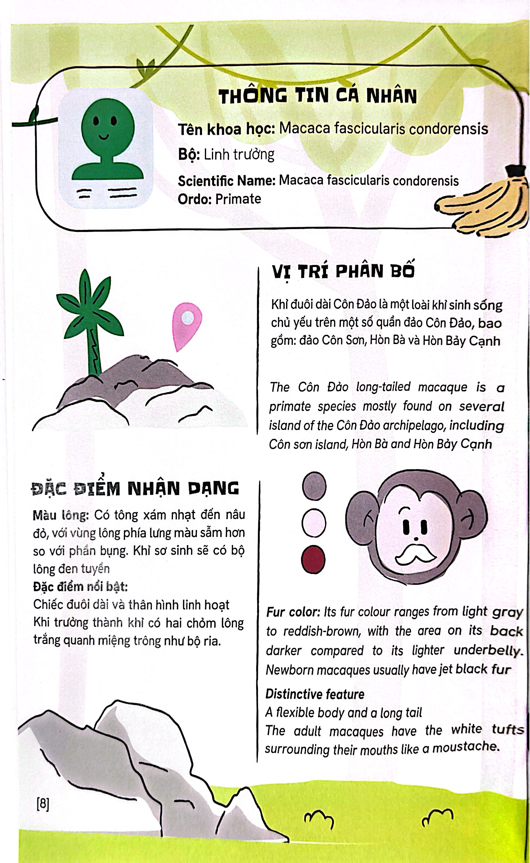 Một Số Loài Động Vật Đặc Hữu Và Bản Xứ Của Việt Nam - Endemic And Native Fauna Of Vietnam - Ảnh 7