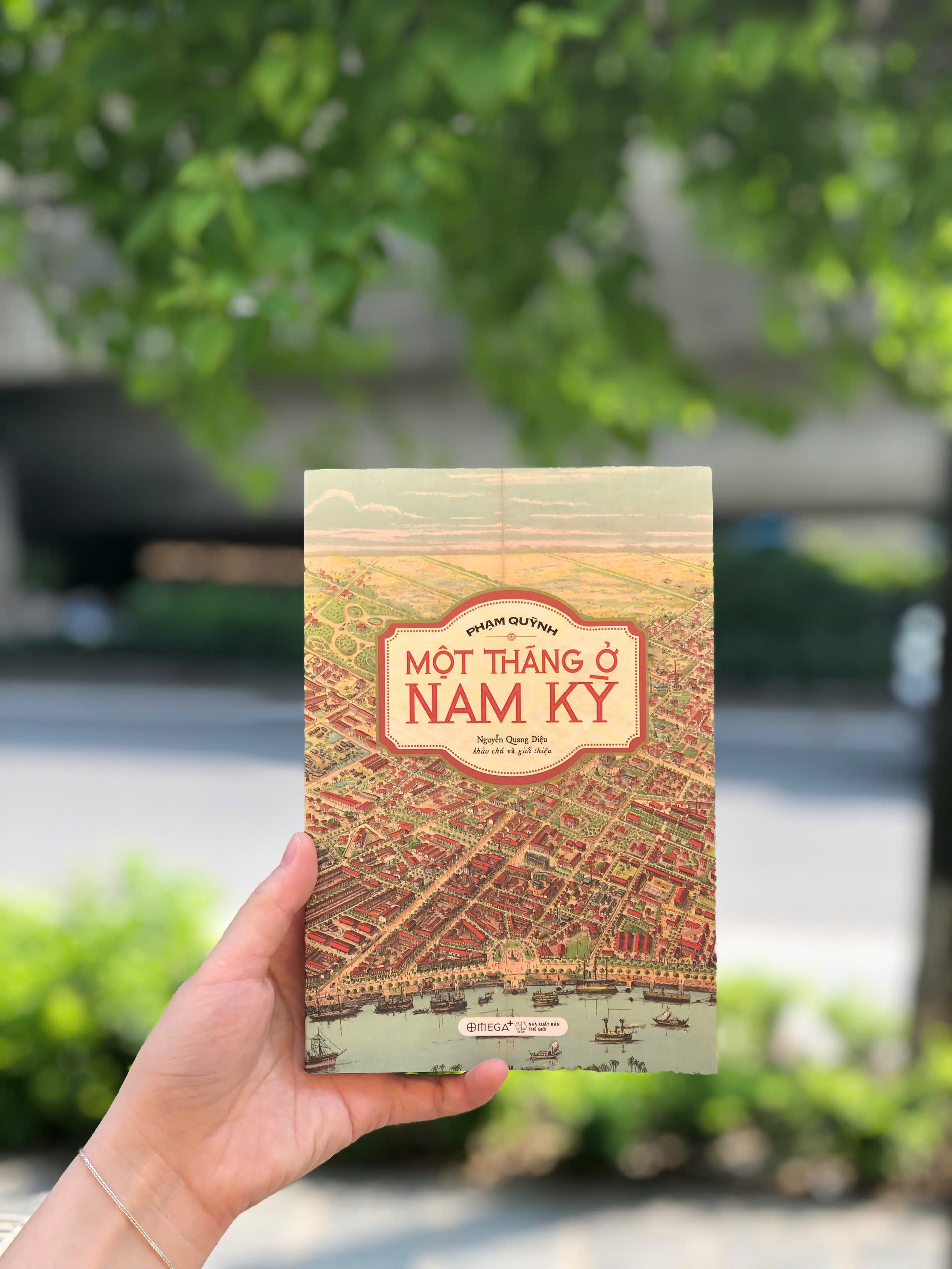 Một Tháng Ở Nam Kỳ - Ảnh 3