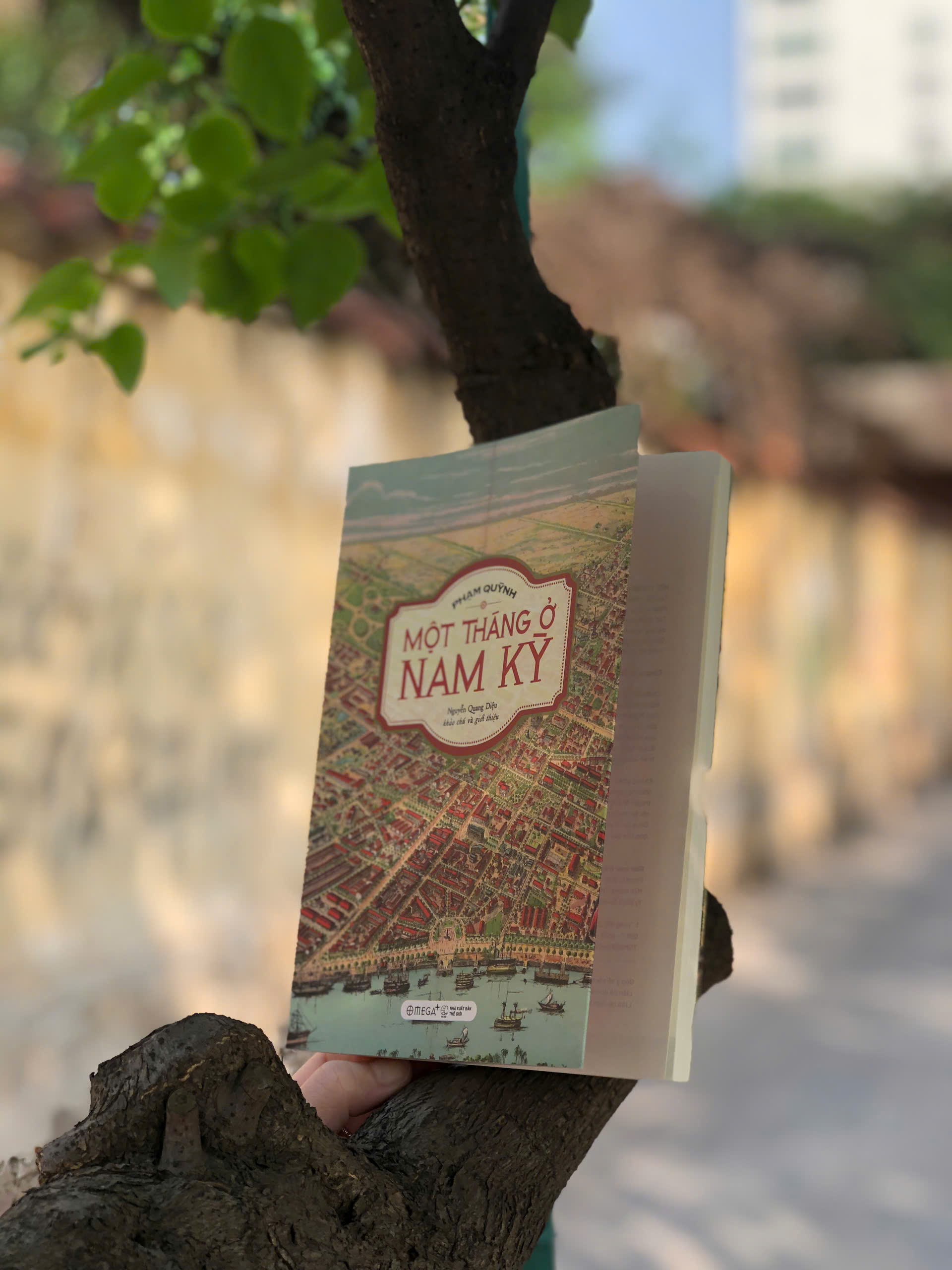 Một Tháng Ở Nam Kỳ - Ảnh 6