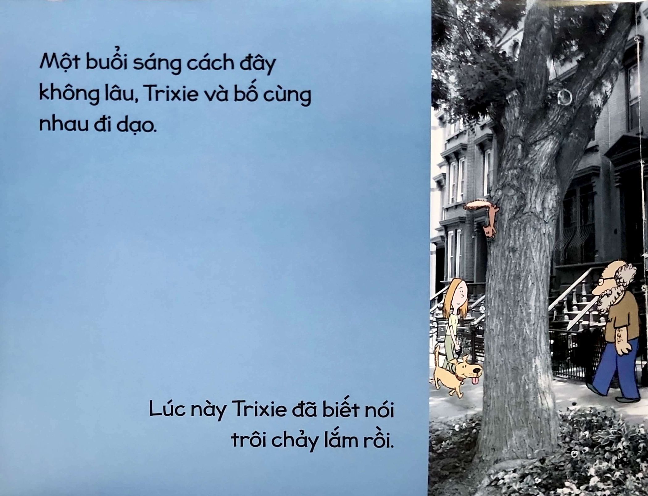 một thỏ bé bồng bông khác - Ảnh 5