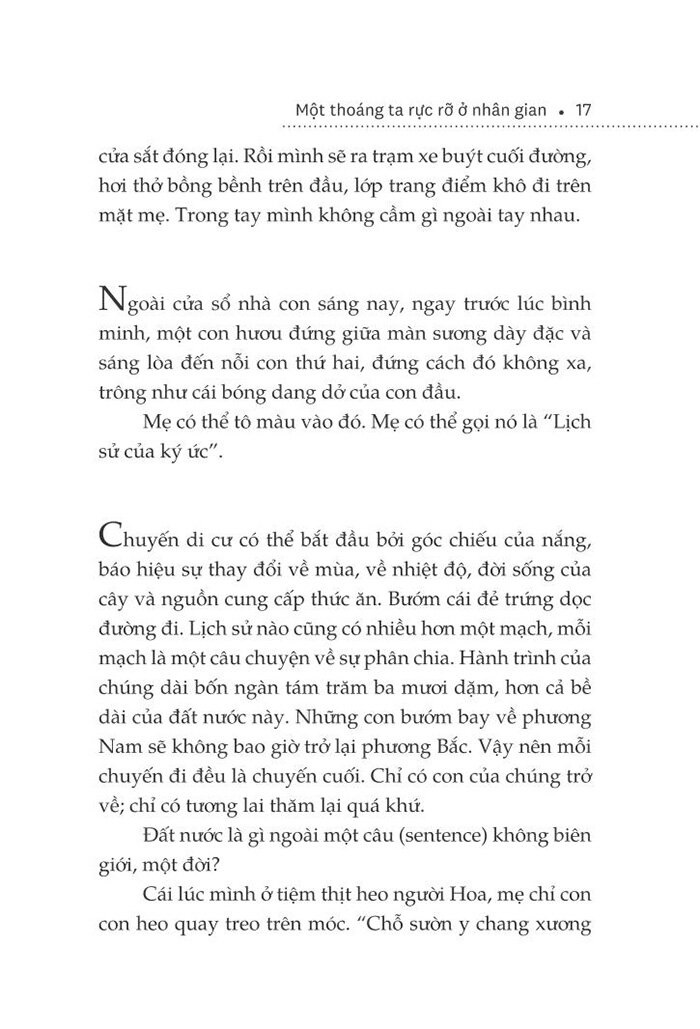 một thoáng ta rực rỡ ở nhân gian - Ảnh 10