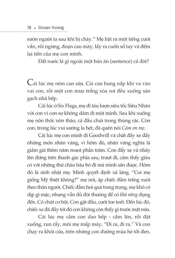 một thoáng ta rực rỡ ở nhân gian - Ảnh 11