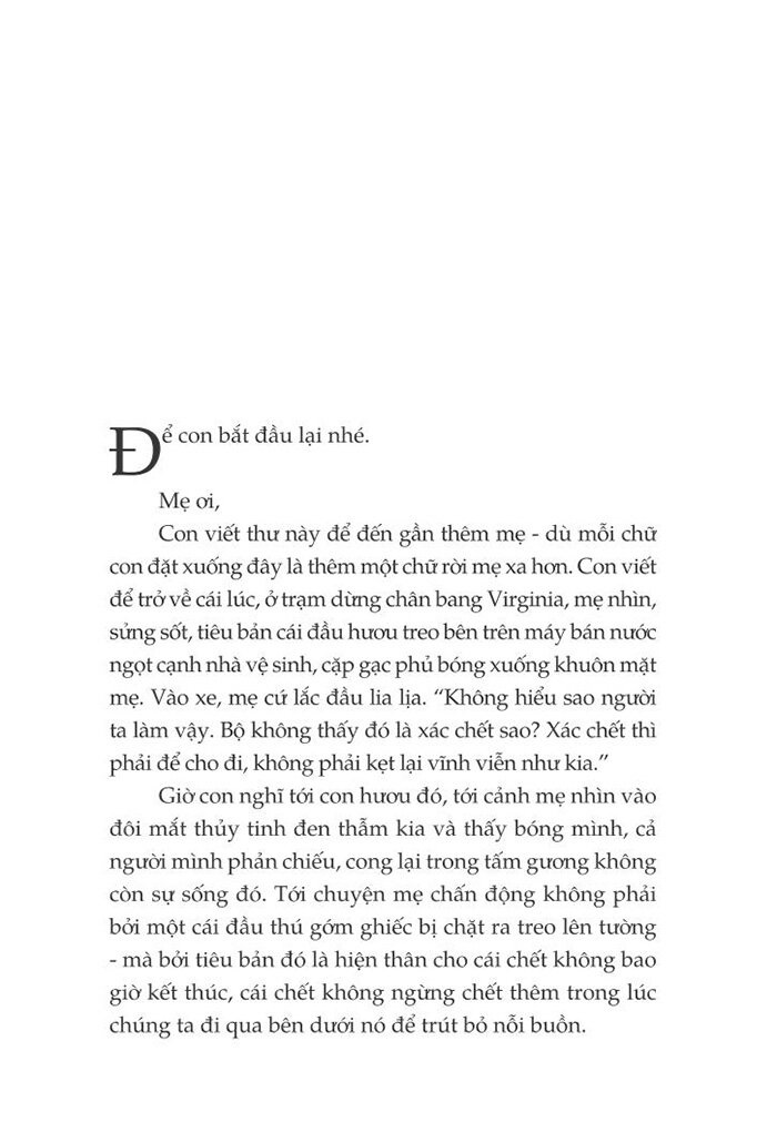 một thoáng ta rực rỡ ở nhân gian - Ảnh 4