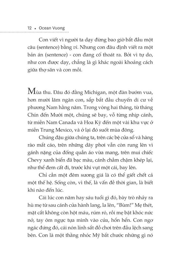 một thoáng ta rực rỡ ở nhân gian - Ảnh 5