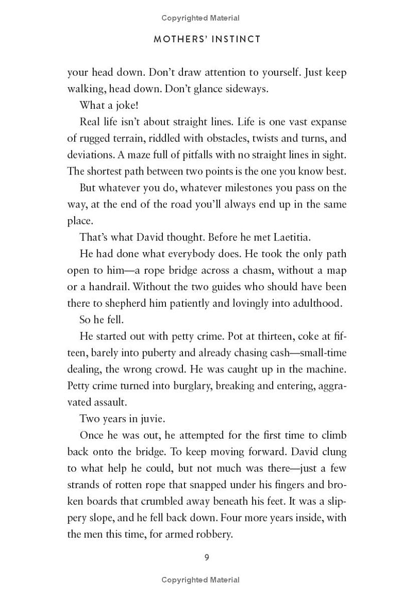 mothers' instinct - a novel of suspense - Ảnh 7