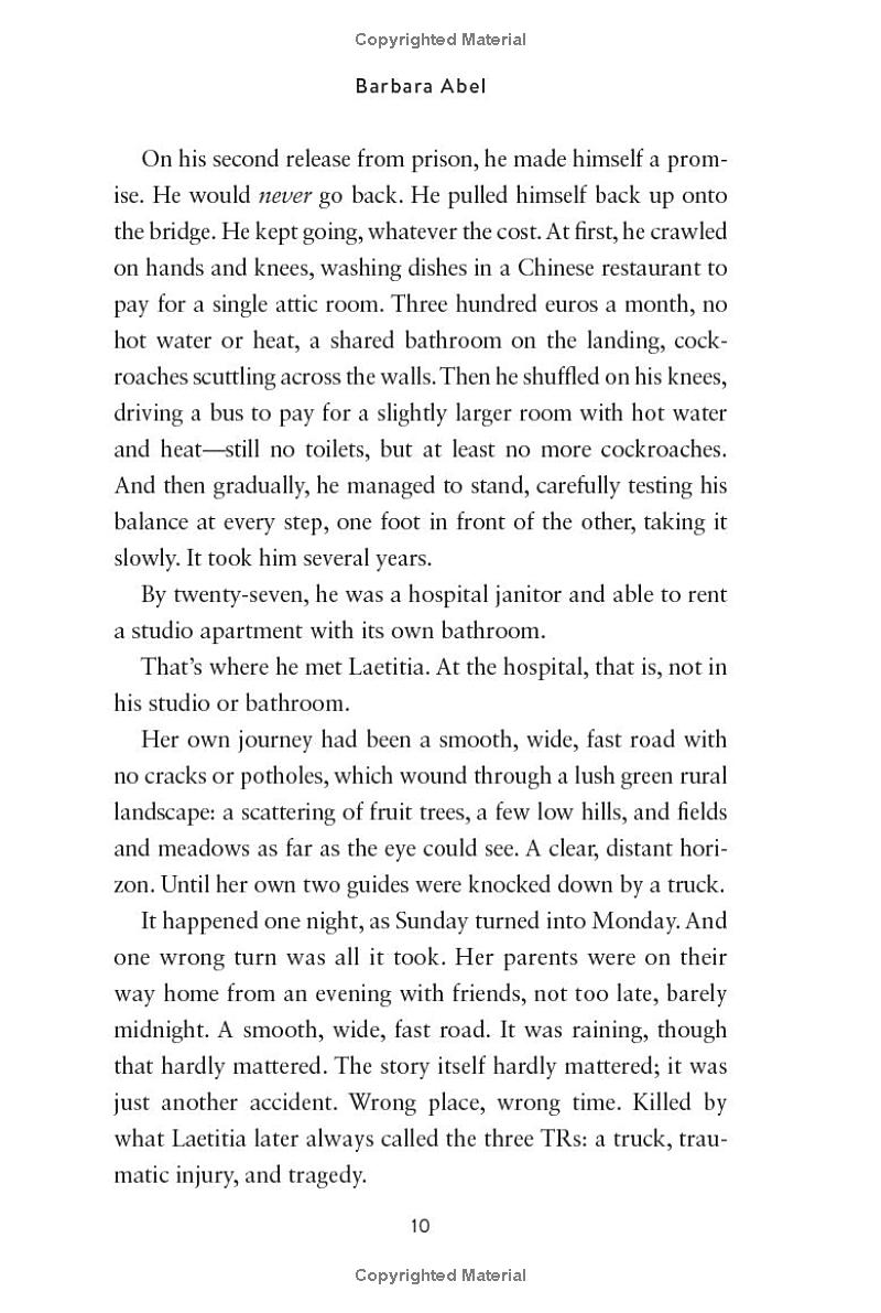 mothers' instinct - a novel of suspense - Ảnh 8