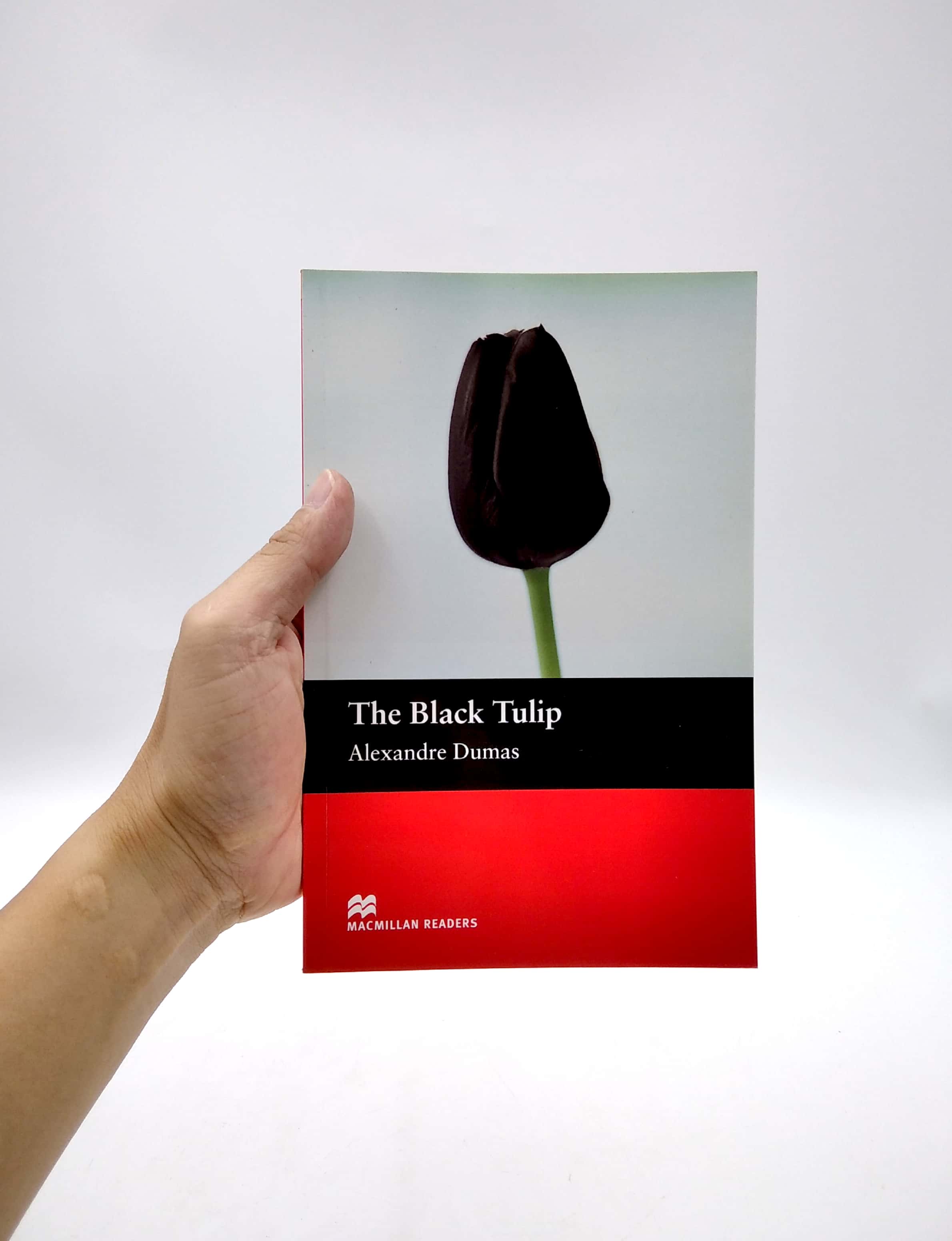 mr; black tulip the beg - Ảnh 2