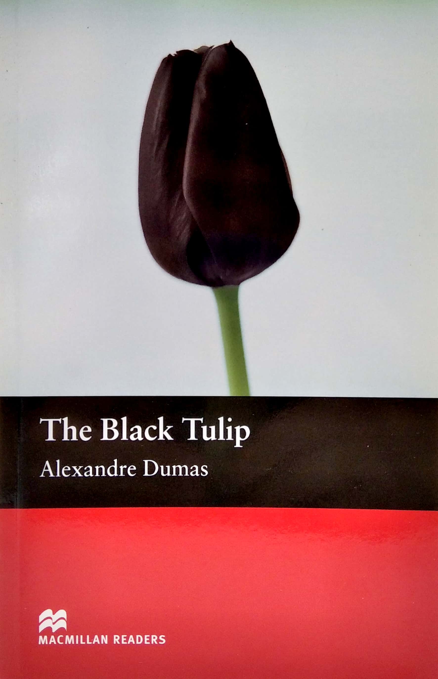 mr; black tulip the beg - Ảnh 3