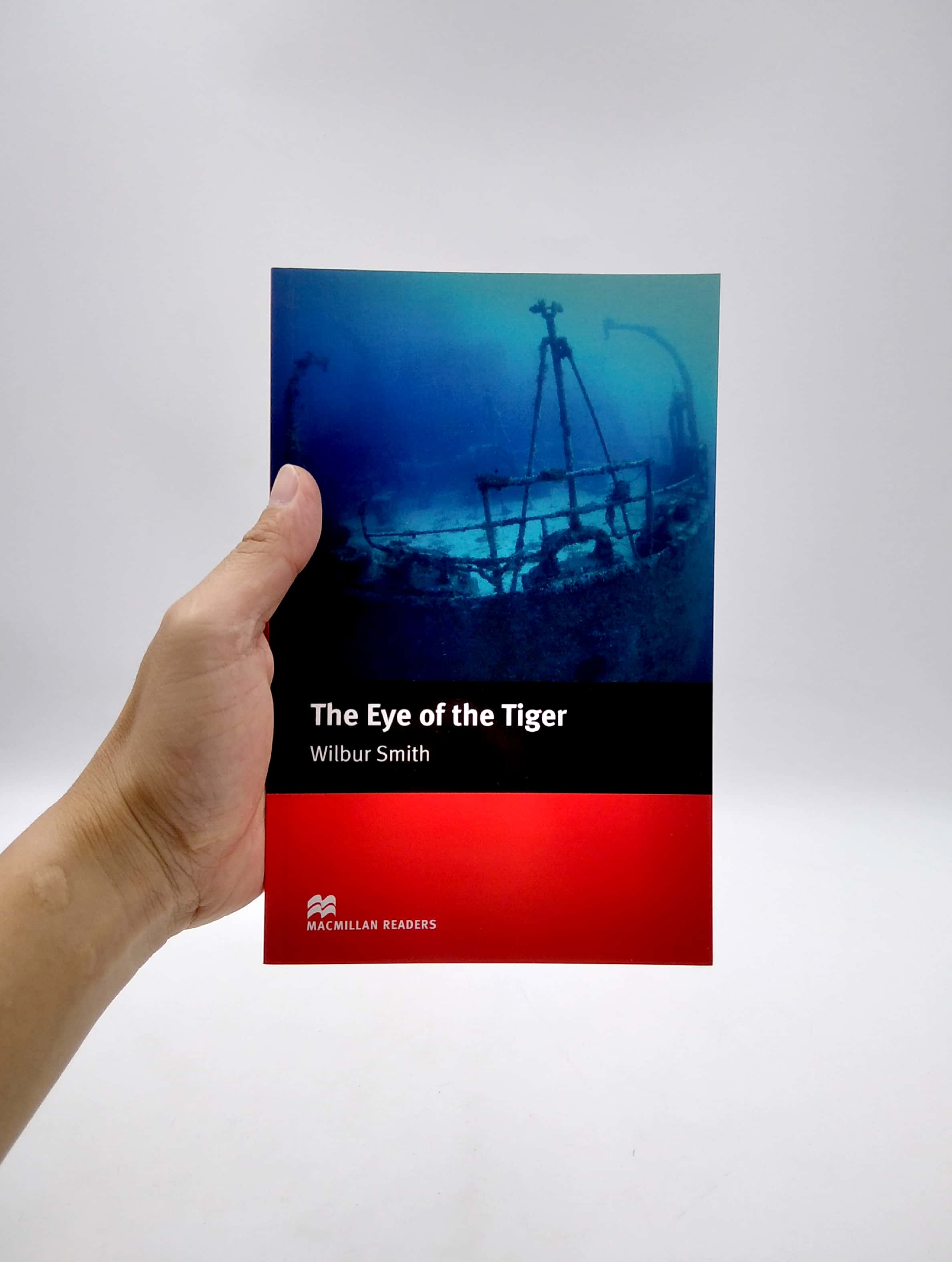 mr; eye of the tiger int - Ảnh 2