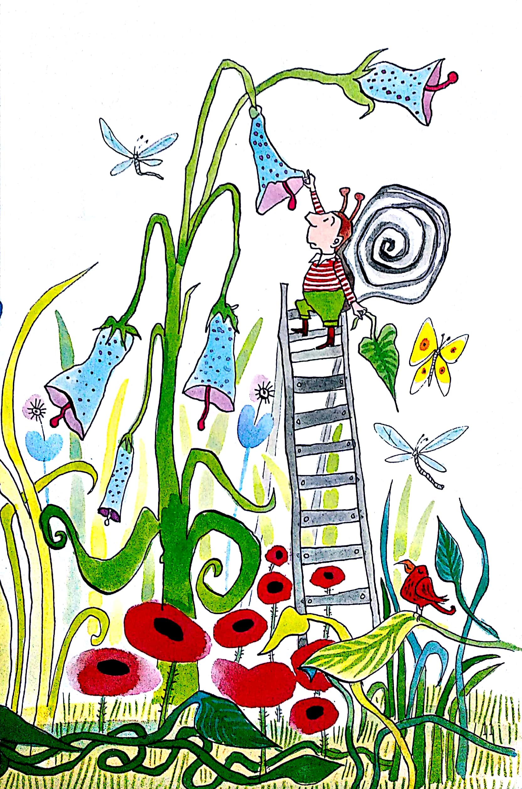 mr finney và phía bên kia biển nước - Ảnh 11