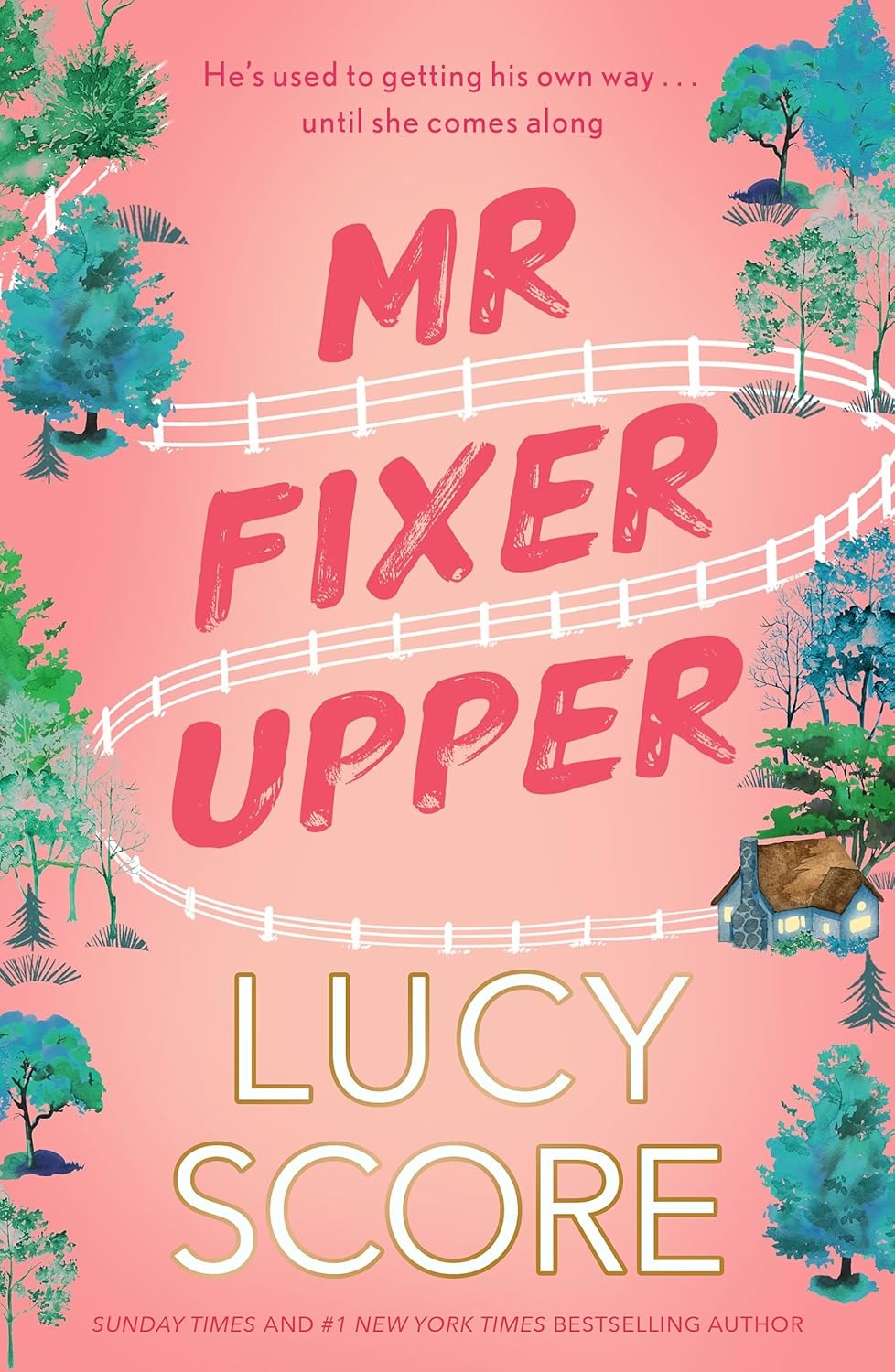 Mr Fixer Upper - Ảnh 2