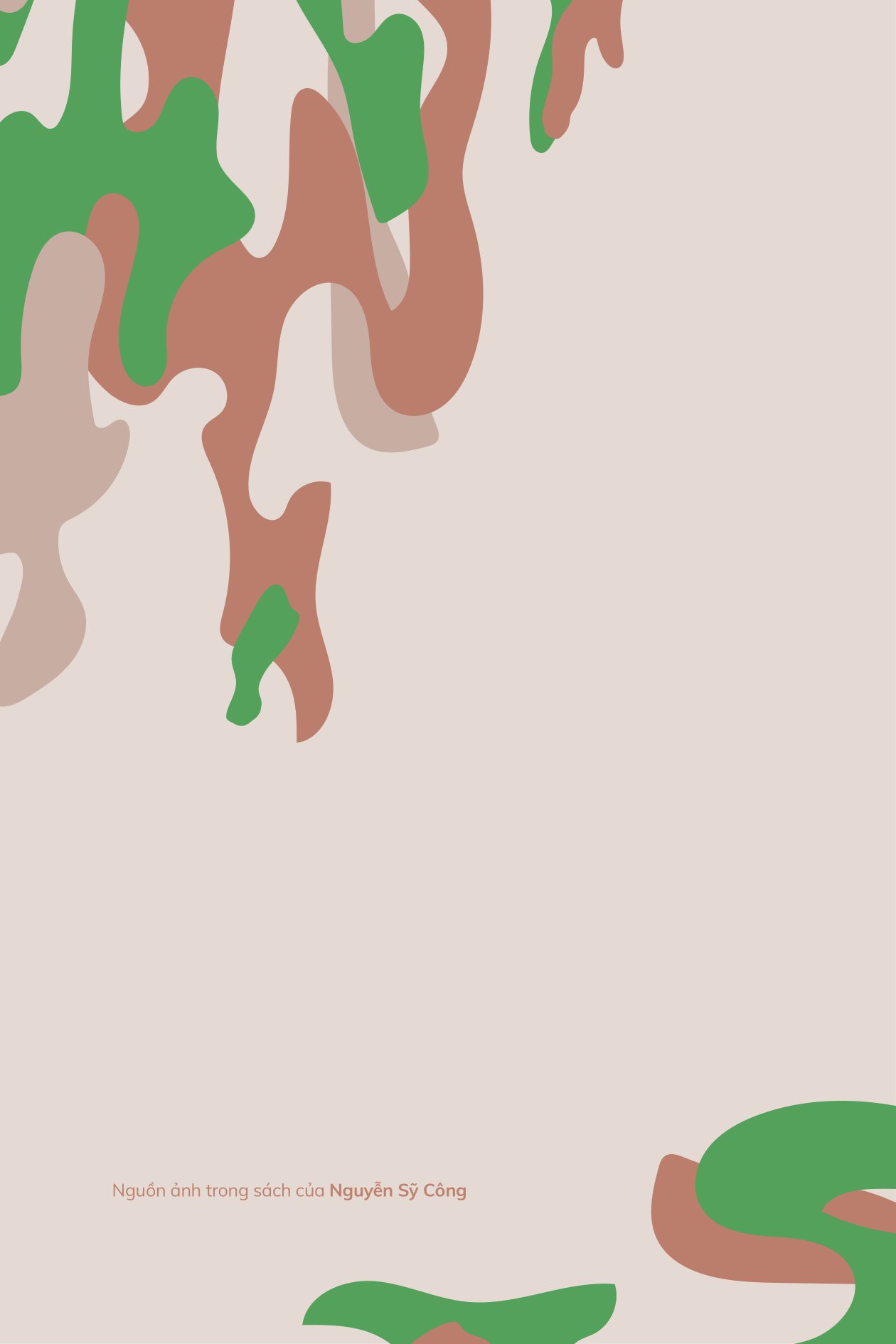 mũ nồi xanh việt nam - người đi gieo hạt hòa bình - Ảnh 3