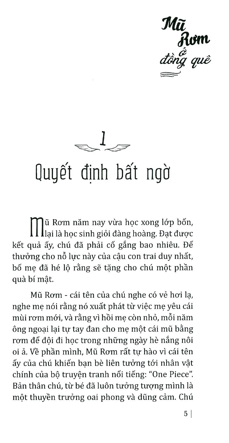 mũ rơm ở đồng quê - Ảnh 5