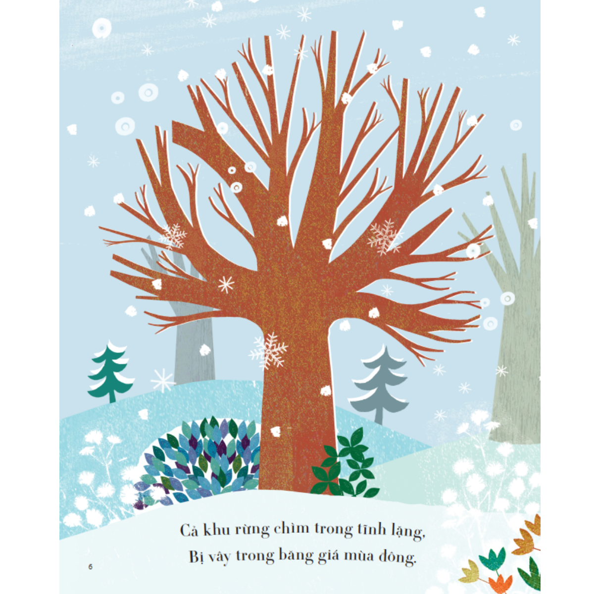 Mùa Đến, Mùa Đi - Cây - Ảnh 5