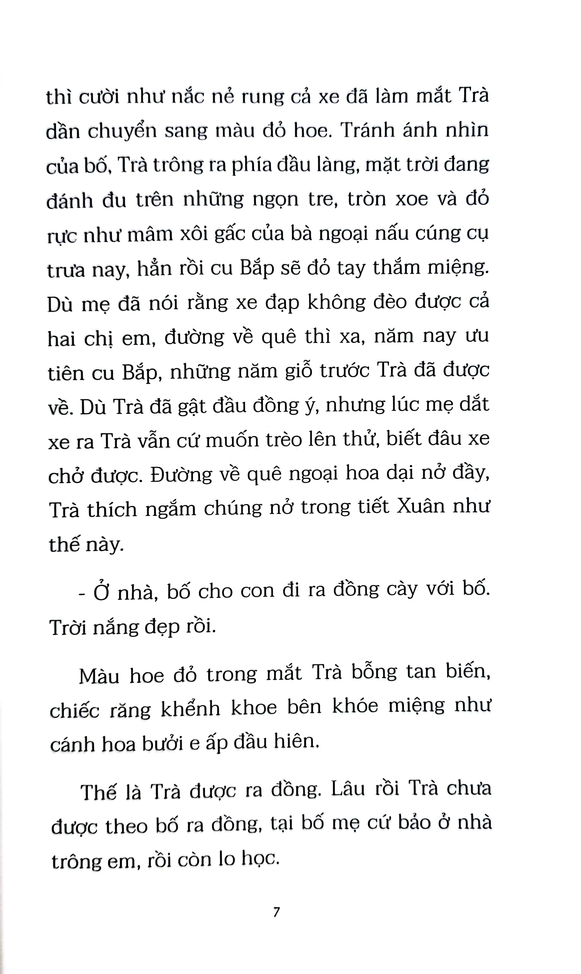 mùa hoa lưng chừng gió - Ảnh 6