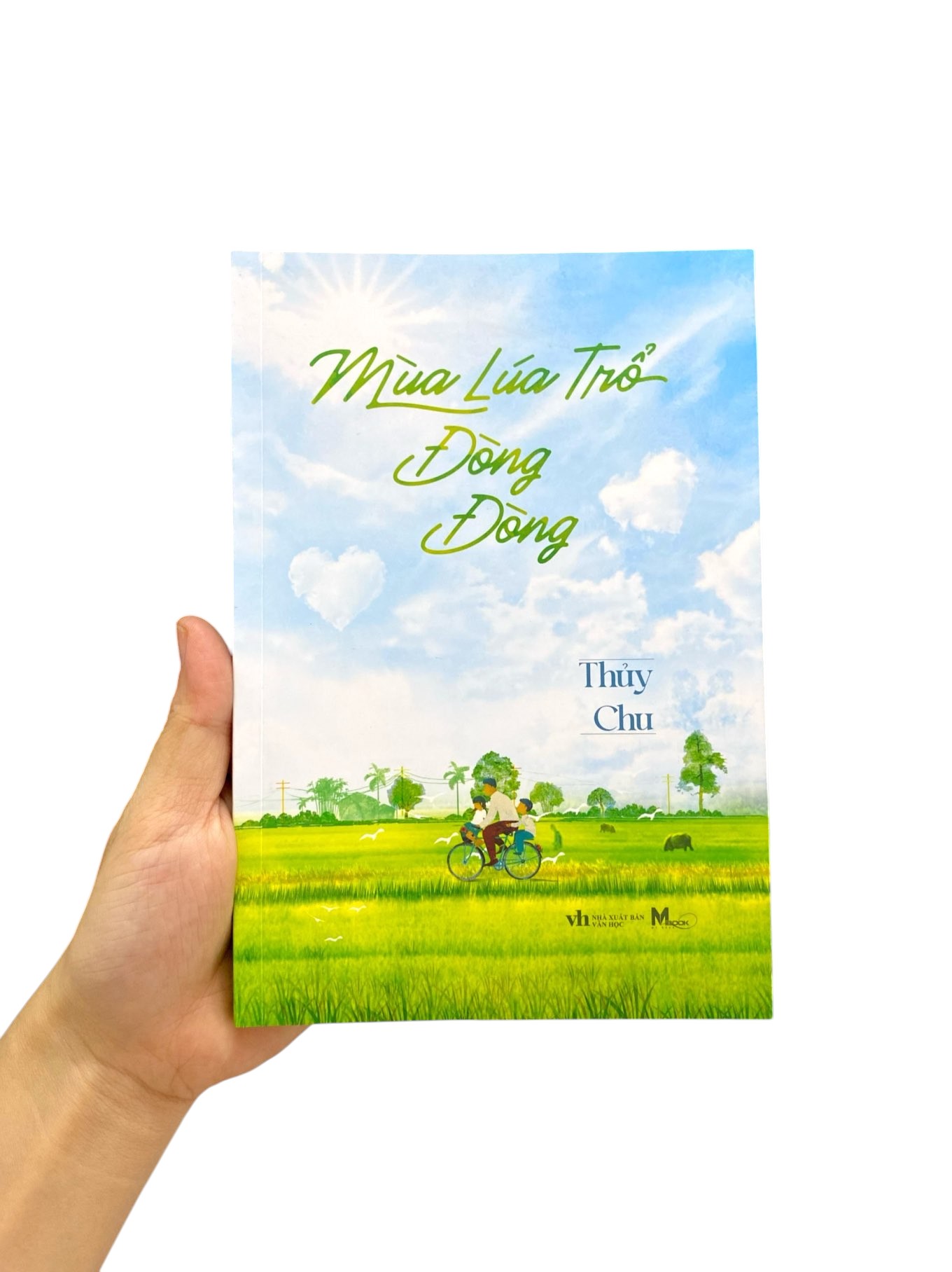 mùa lúa trổ đòng đòng - Ảnh 10