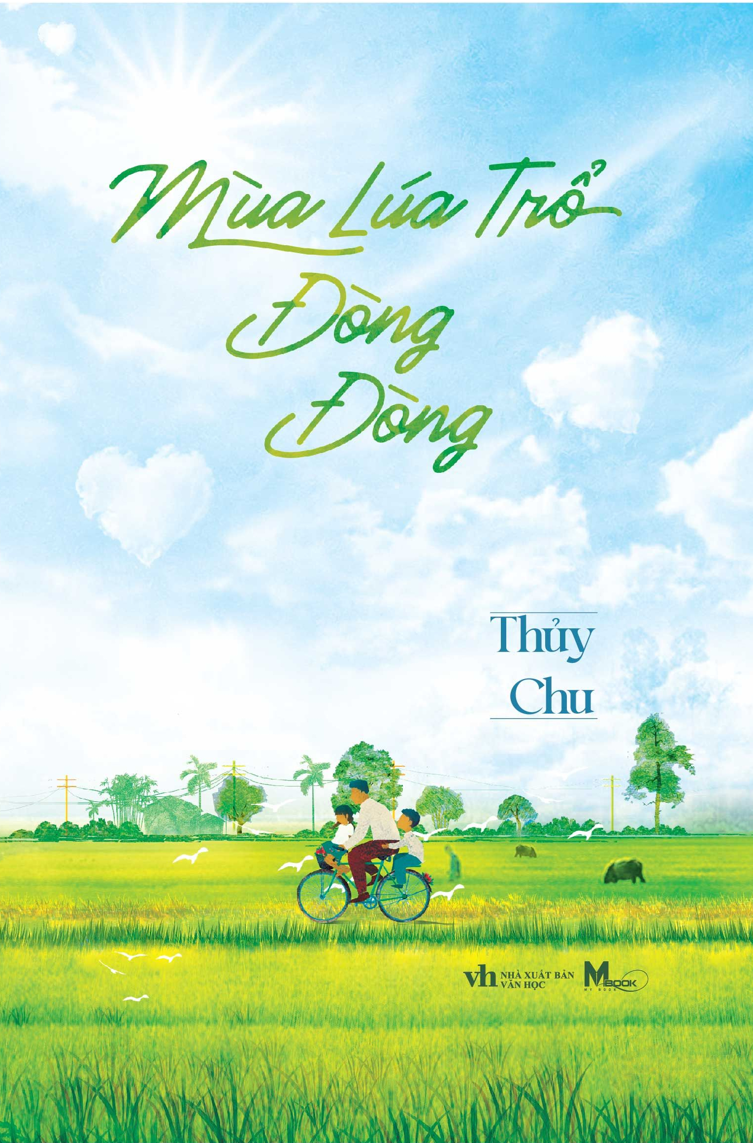 mùa lúa trổ đòng đòng - Ảnh 2
