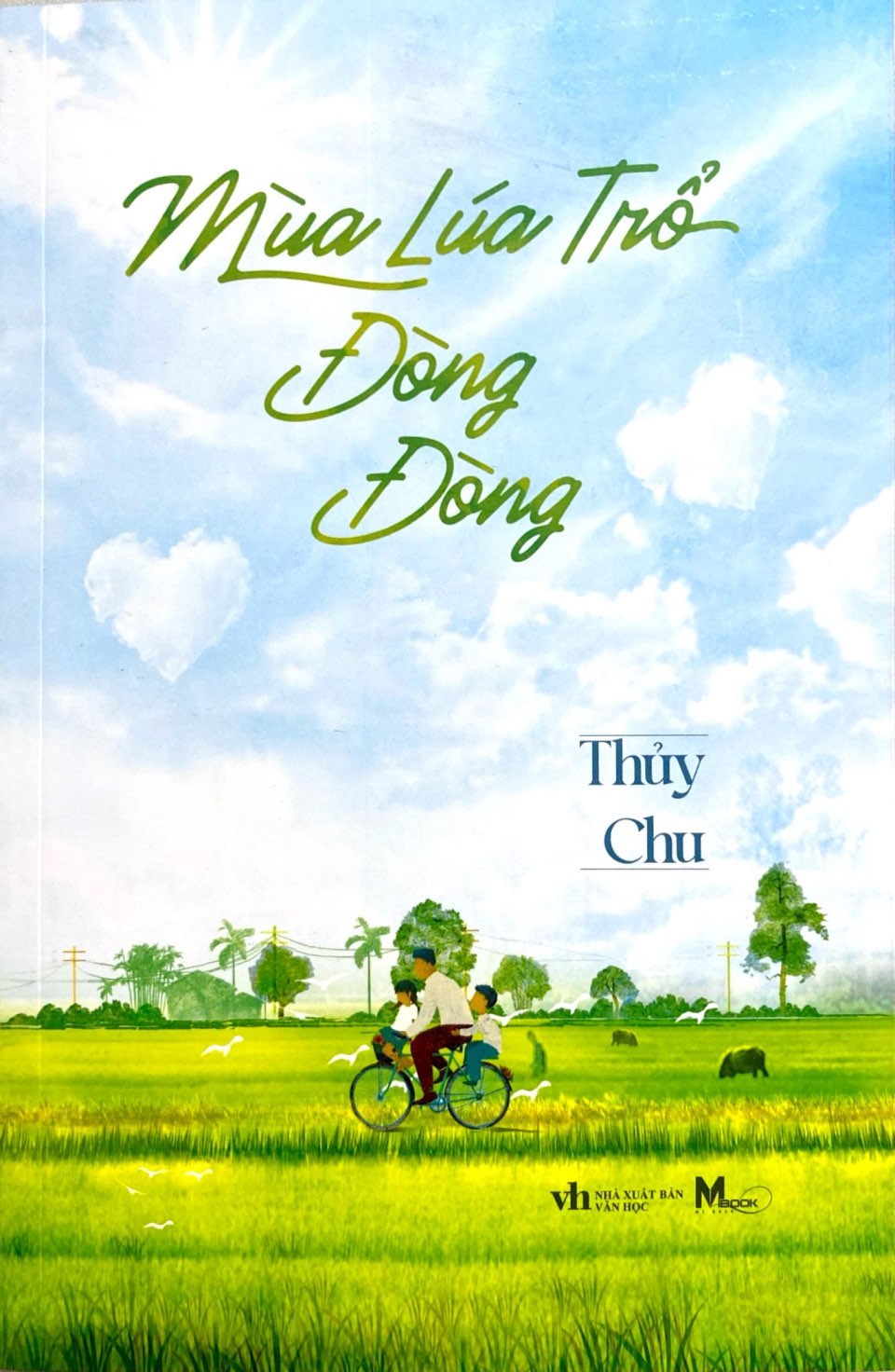 mùa lúa trổ đòng đòng - Ảnh 3