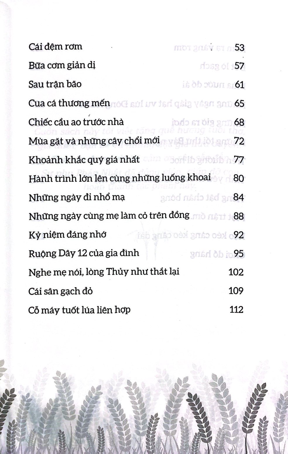 mùa lúa trổ đòng đòng - Ảnh 5