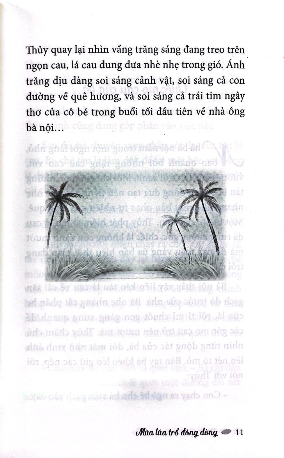 mùa lúa trổ đòng đòng - Ảnh 8