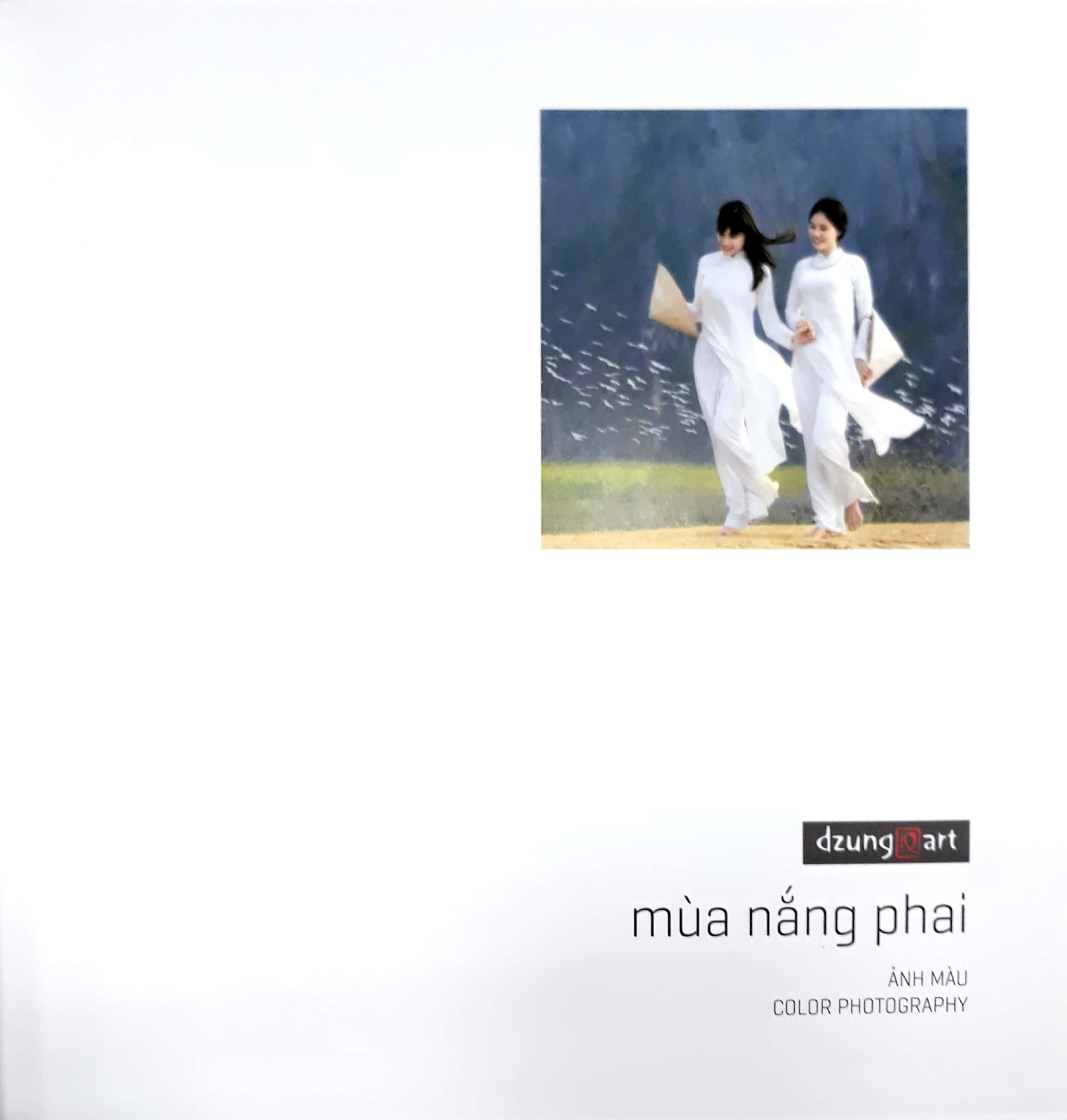 mùa nắng phai - Ảnh 20