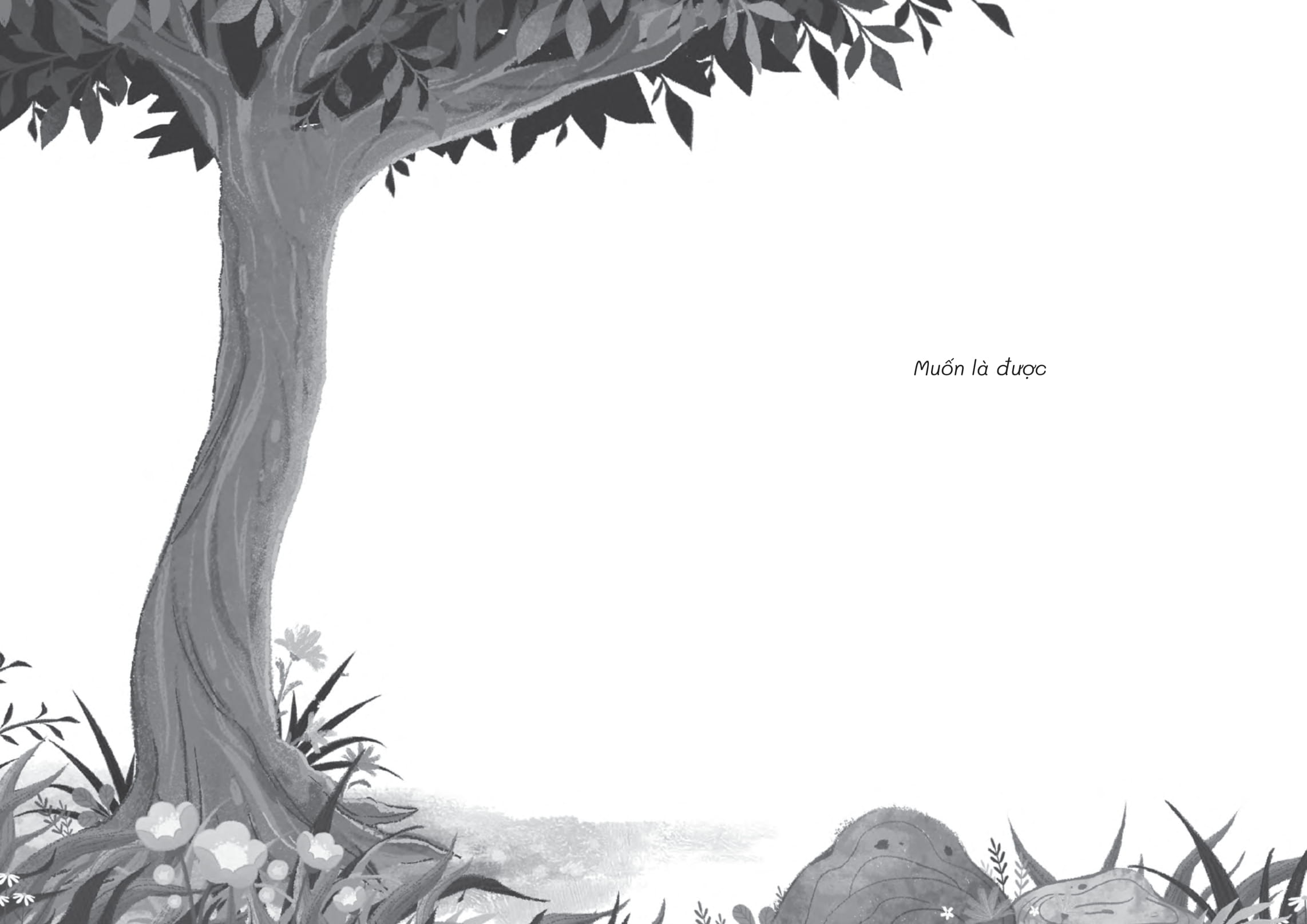 mùa rễ ngọt - Ảnh 3