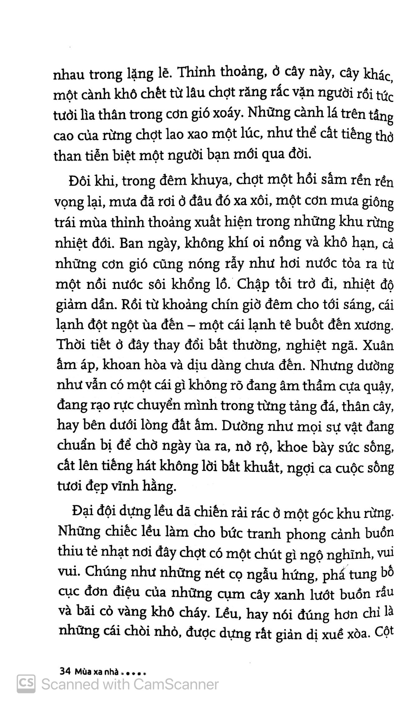mùa xa nhà (tái bản 2019) - Ảnh 4