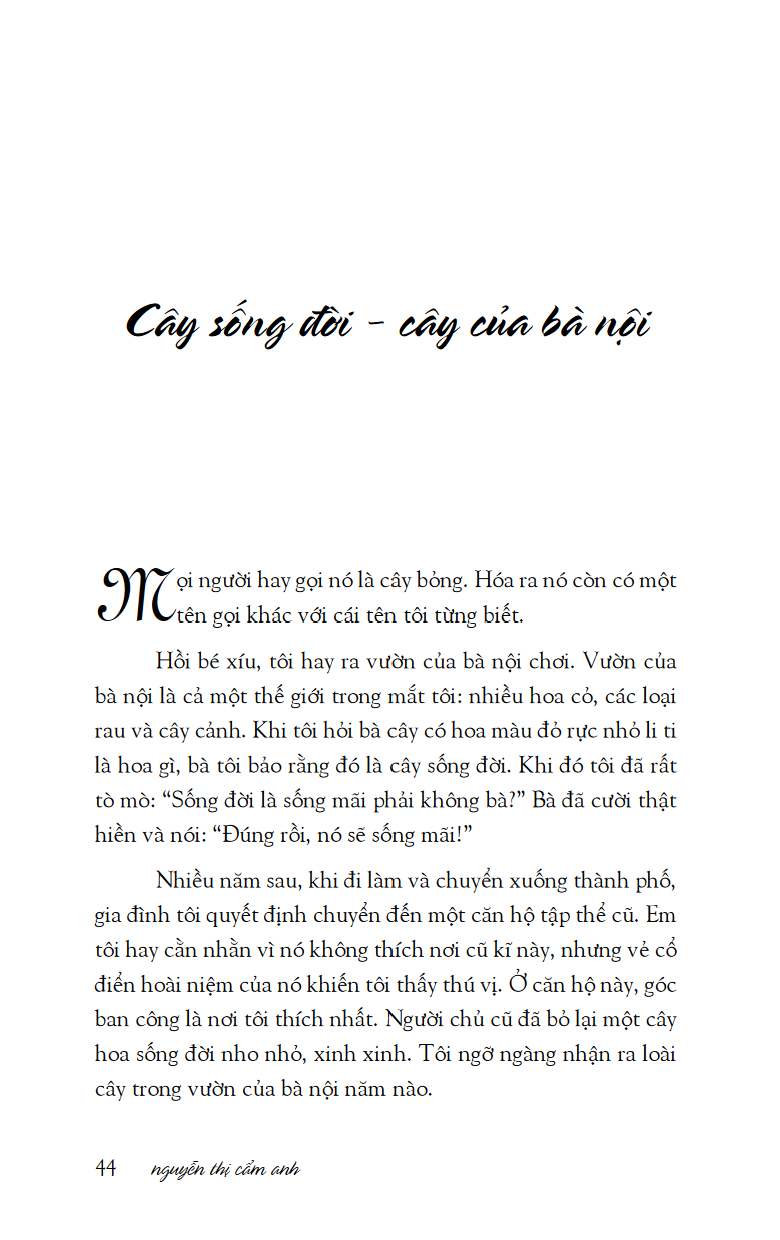 mùa xuân ở xứ sở nhiệt đới - Ảnh 10