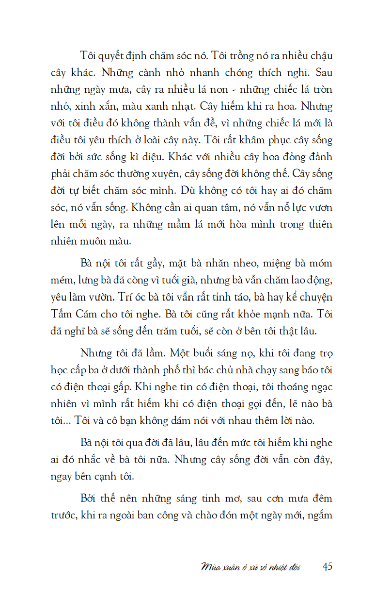 mùa xuân ở xứ sở nhiệt đới - Ảnh 11